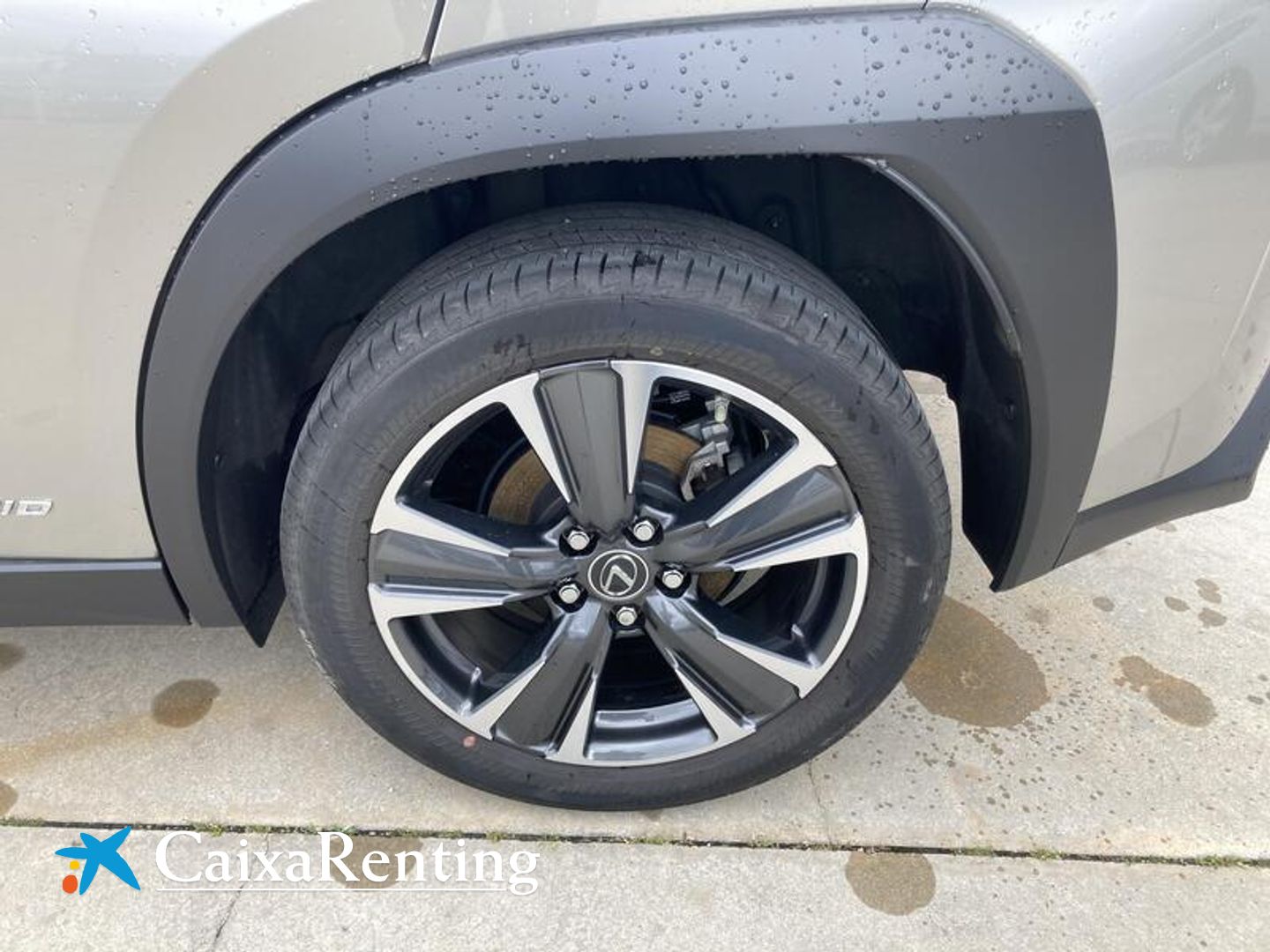 Lexus UX UX 250h Premium 135 kW (184 CV)