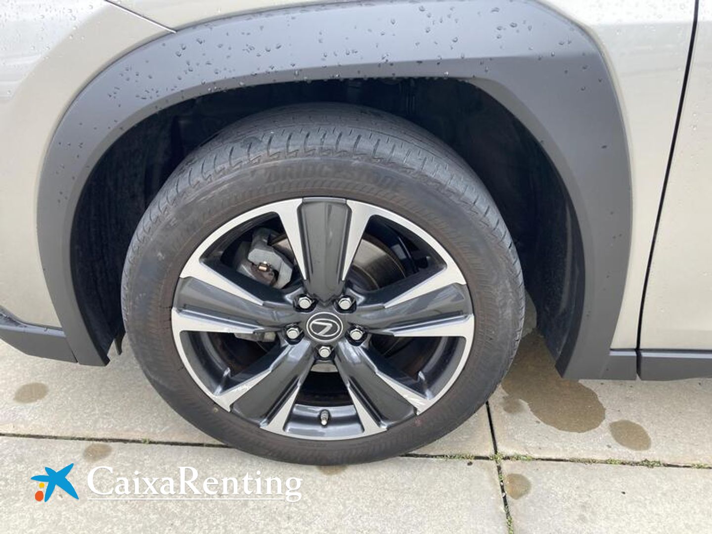 Lexus UX UX 250h Premium 135 kW (184 CV)