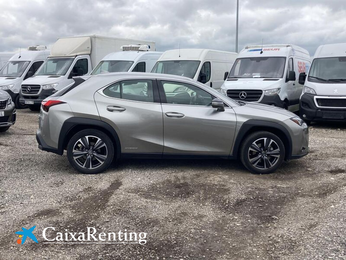 Lexus UX UX 250h Premium 135 kW (184 CV)