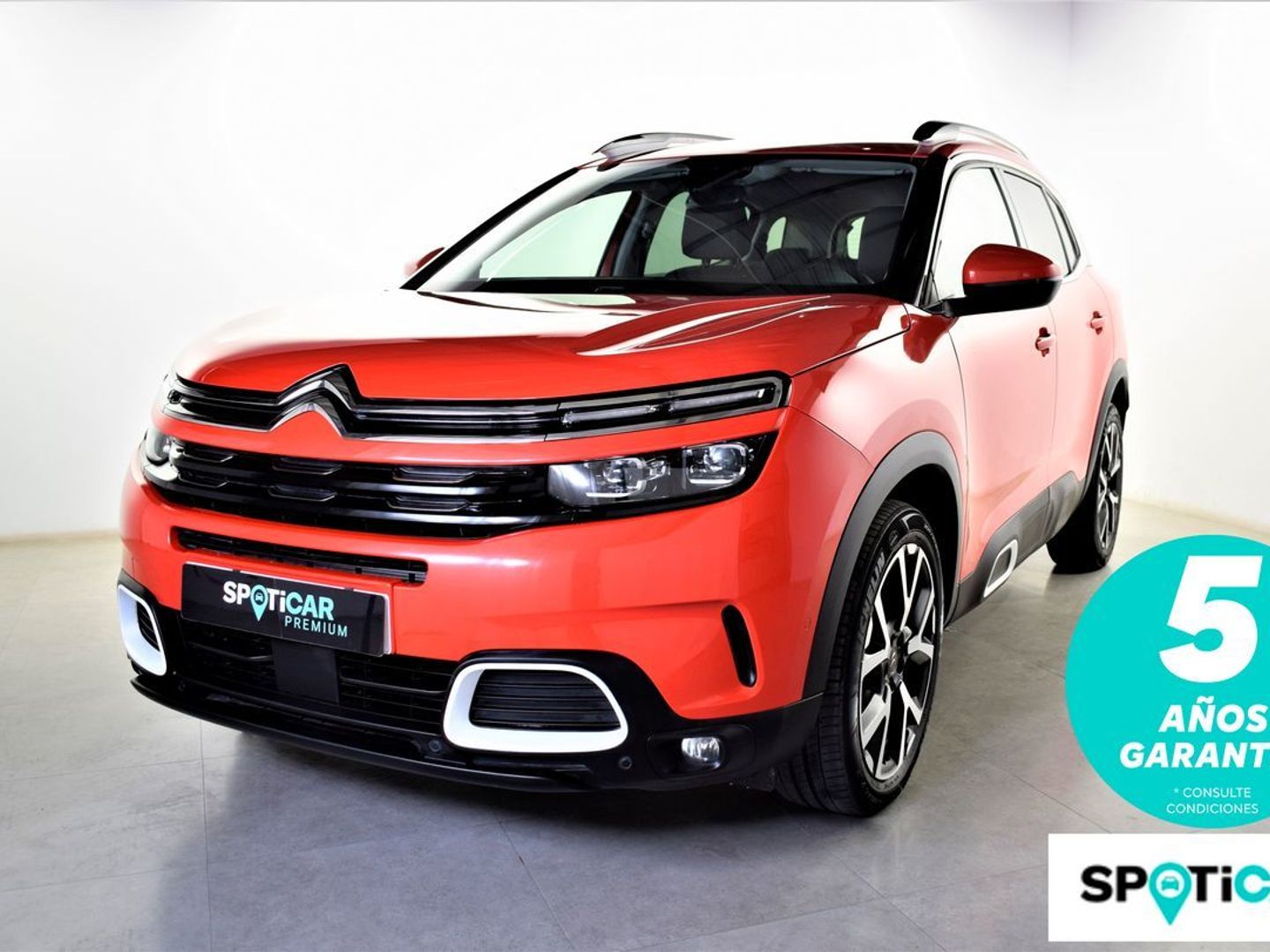 Citroen C5 Aircross BlueHdi 130 S&S Shine EAT8 96 kW (131 CV)