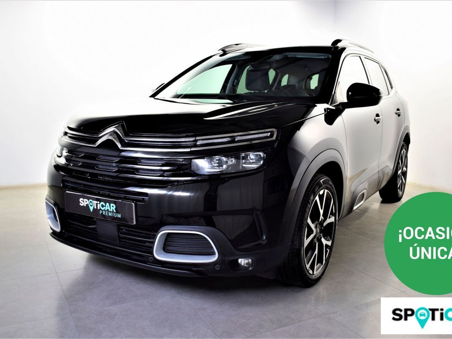Citroen C5 Aircross BlueHdi 130 S&S Shine 96 kW (131 CV)