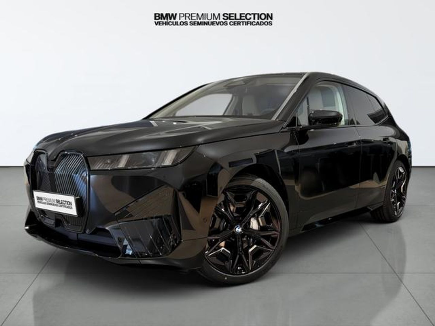 BMW iX xDrive45 300 kW (408 CV)