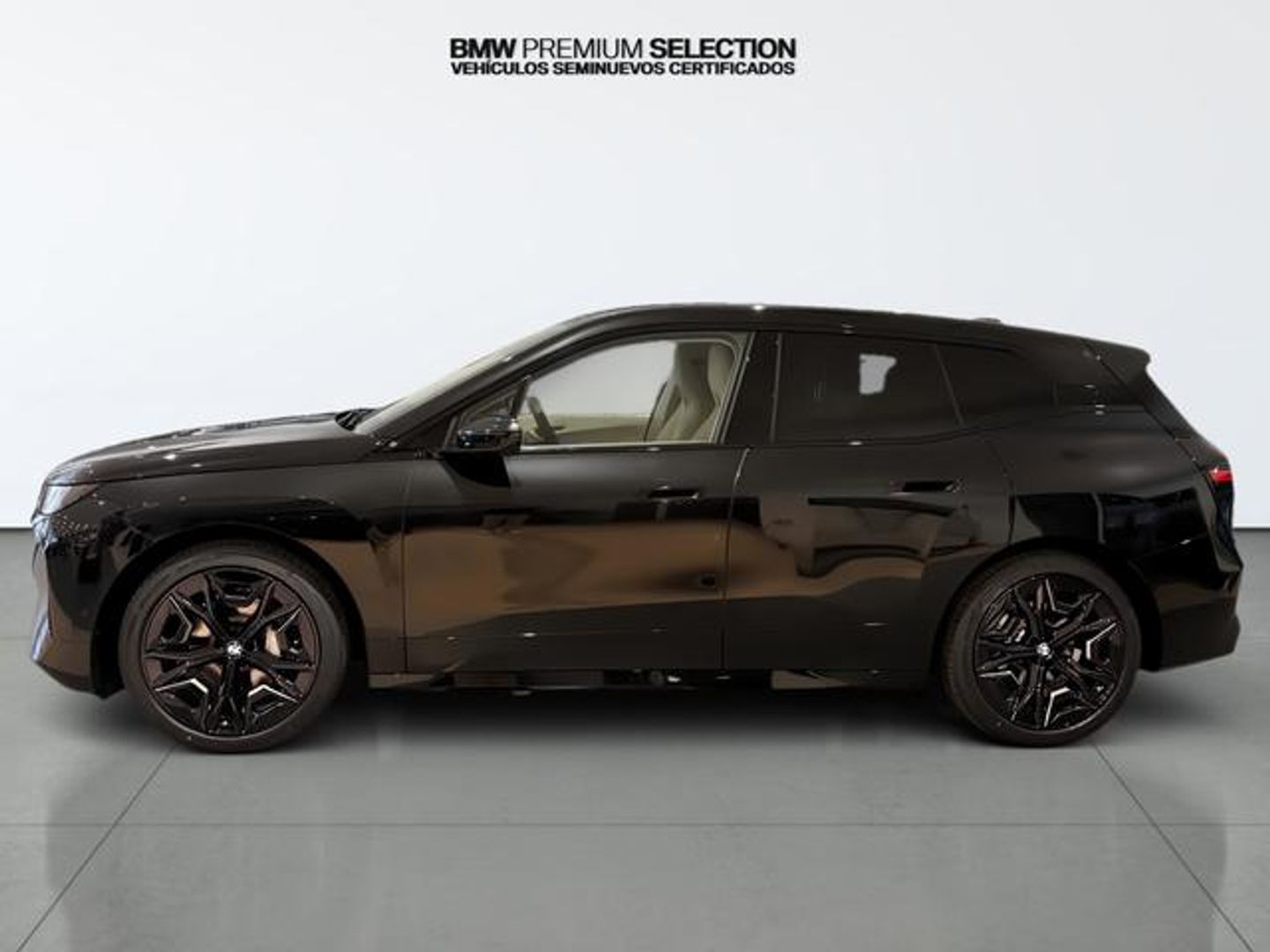 BMW iX xDrive45 300 kW (408 CV)