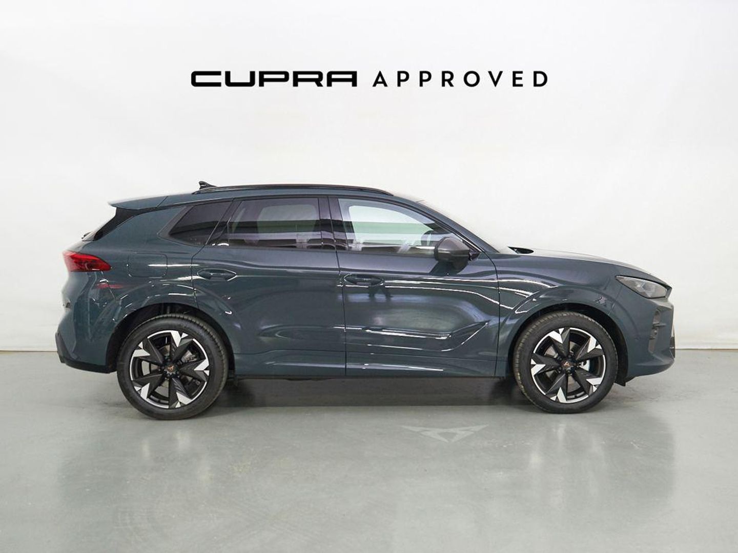 CUPRA Terramar 1.5 eTSI DSG 110 kW (150 CV)