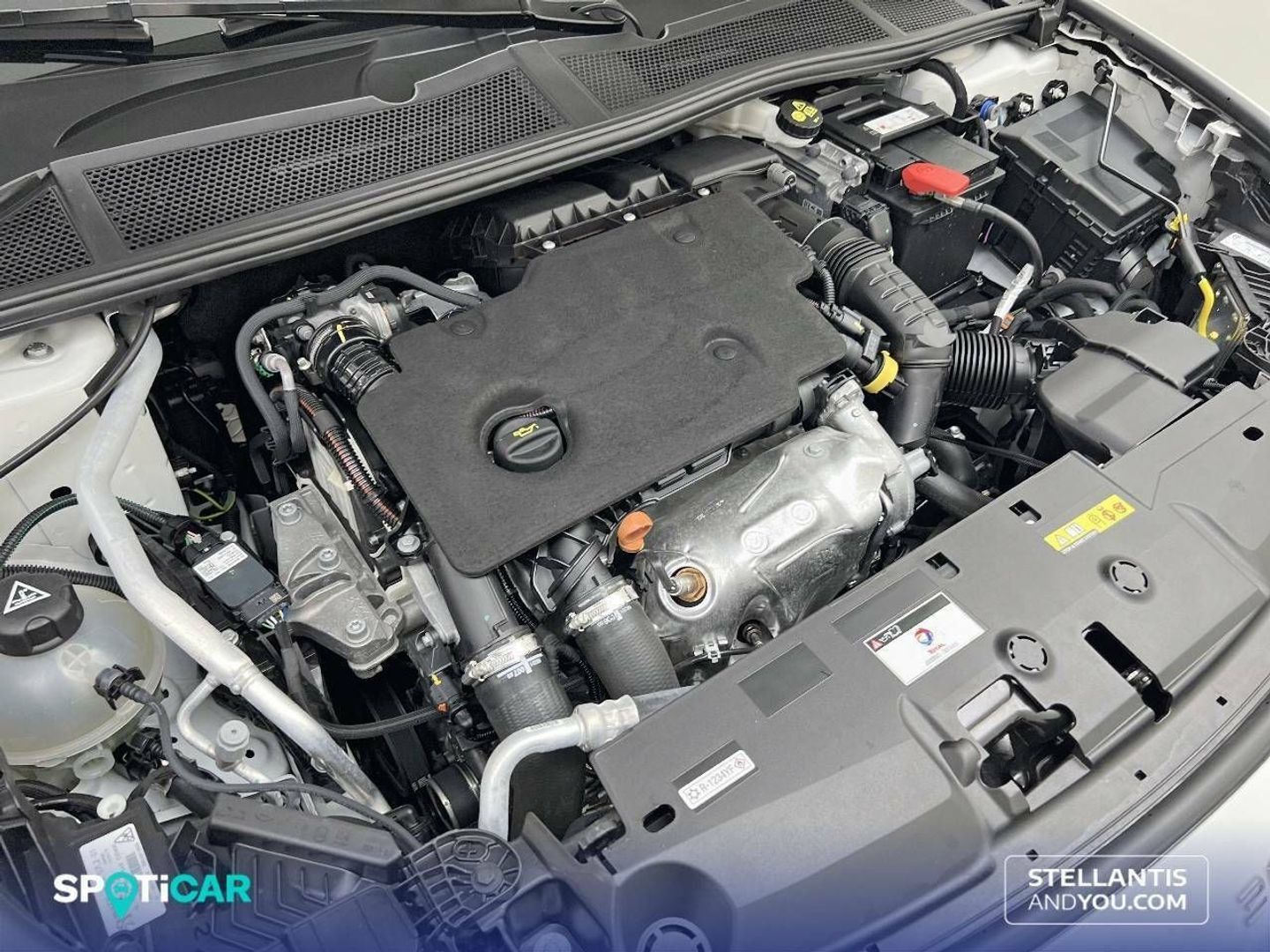 Peugeot 308 Active Pack BlueHDi S&S EAT8 96 kW (130 CV)