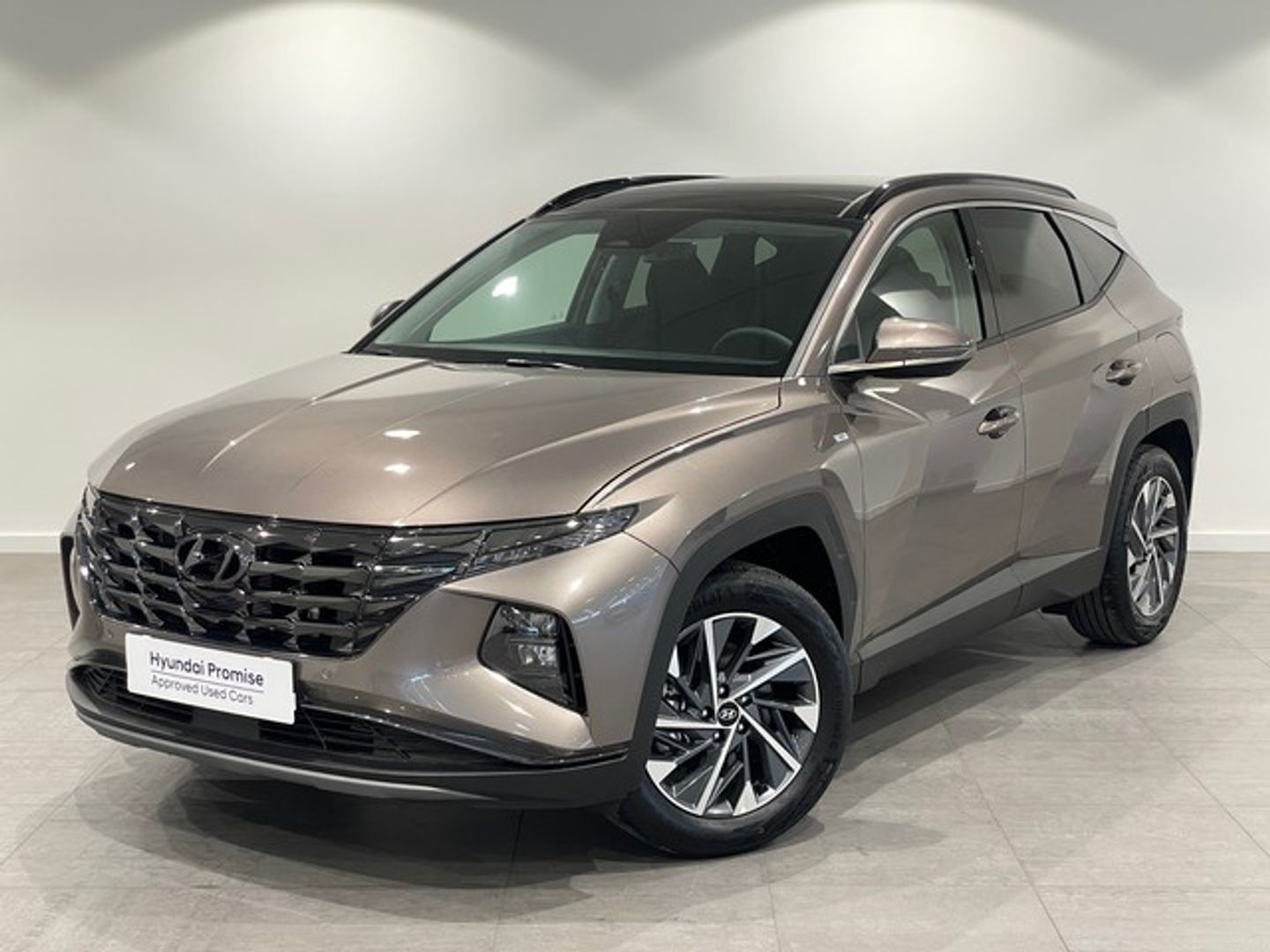 Hyundai Tucson 1.6 CRDI 48V Tecno Sky 100 kW (136 CV) Marrón 