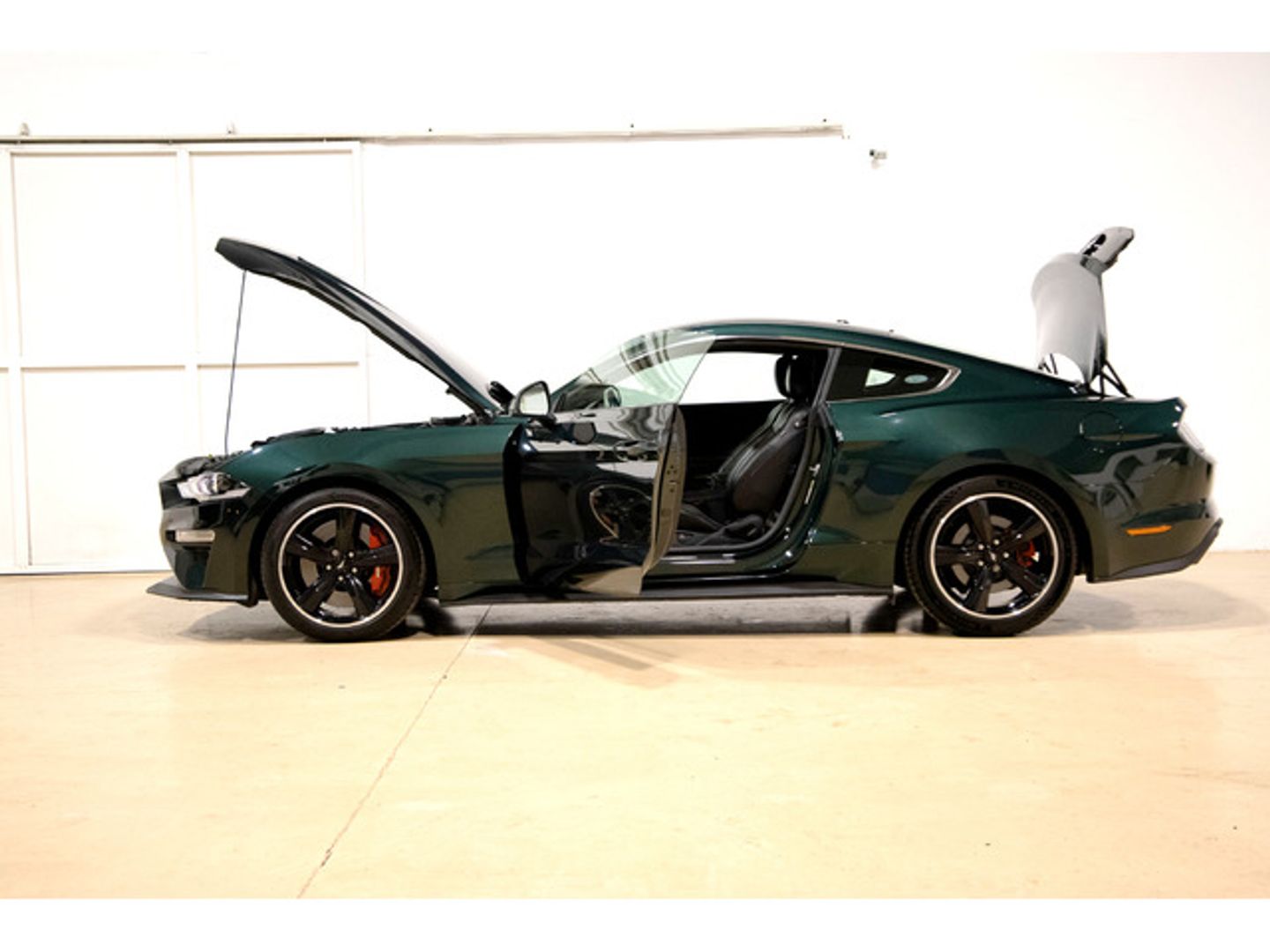Ford Mustang 5.0 Ti-VCT V8 Coupe Mustang GT Bullit Fastsback 338 kW (459 CV)