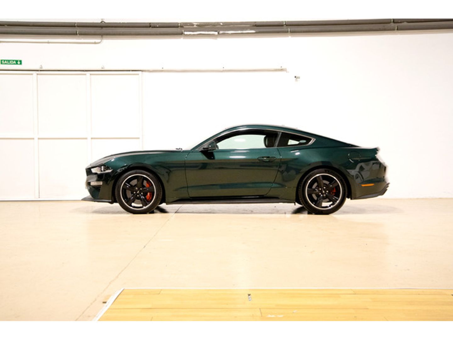 Ford Mustang 5.0 Ti-VCT V8 Coupe Mustang GT Bullit Fastsback 338 kW (459 CV)