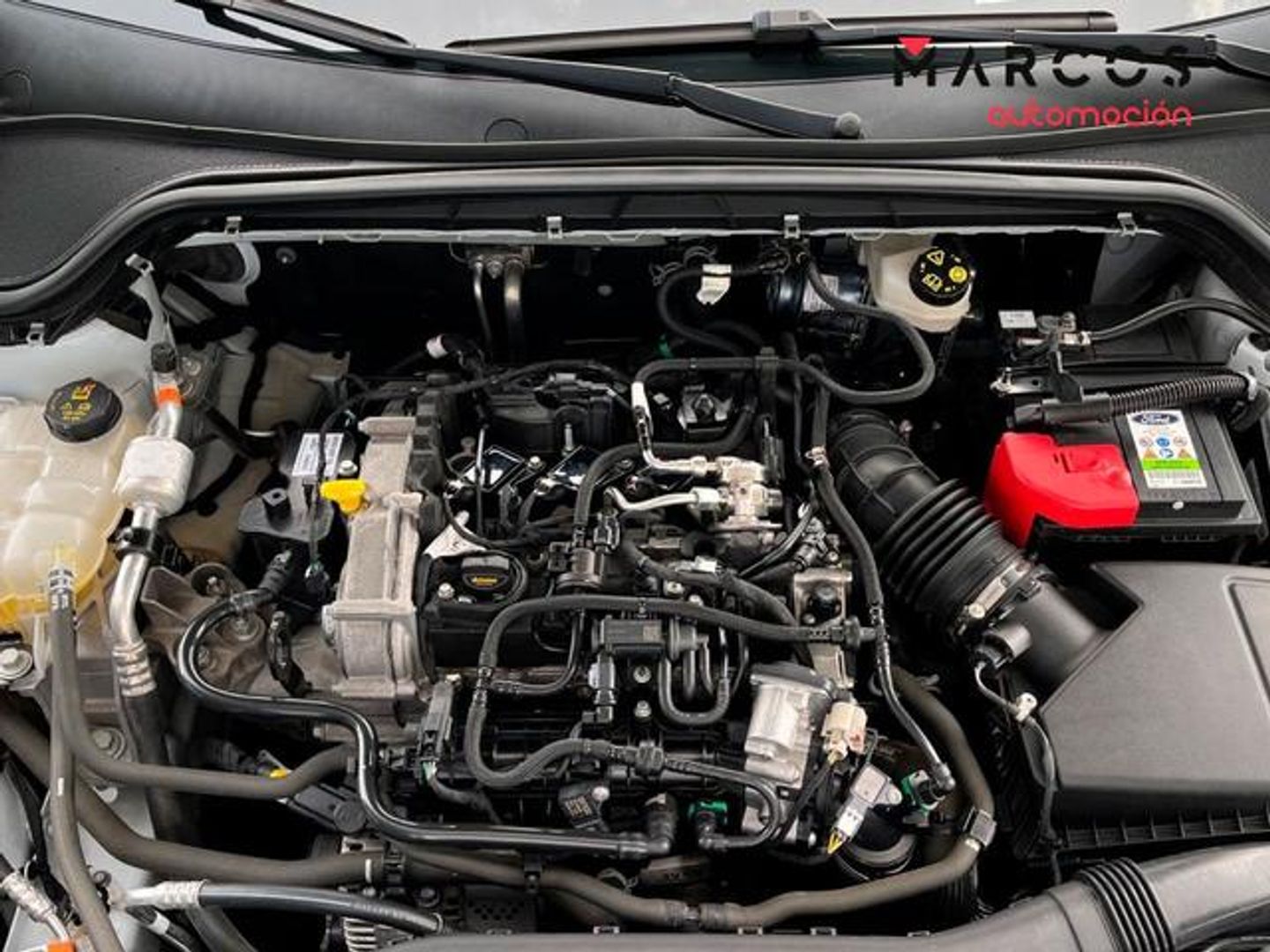 Ford Focus 1.0 Ecoboost MHEV ST-Line X 92 kW (125 CV)