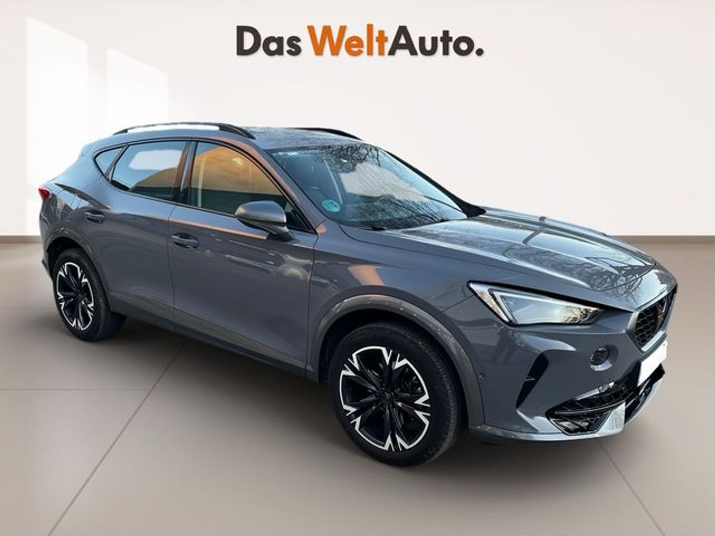 CUPRA Formentor 1.5 TSI DSG 110 kW (150 CV) Gris SUV