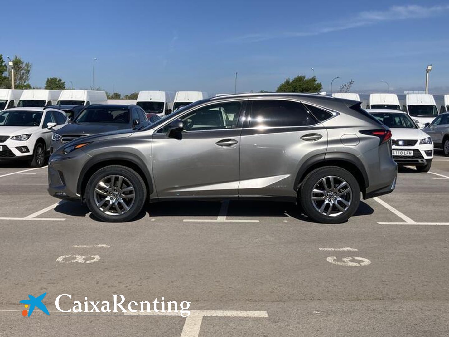 Lexus NX NX 300h Executive Navigation 4WD 145 kW (197 CV)
