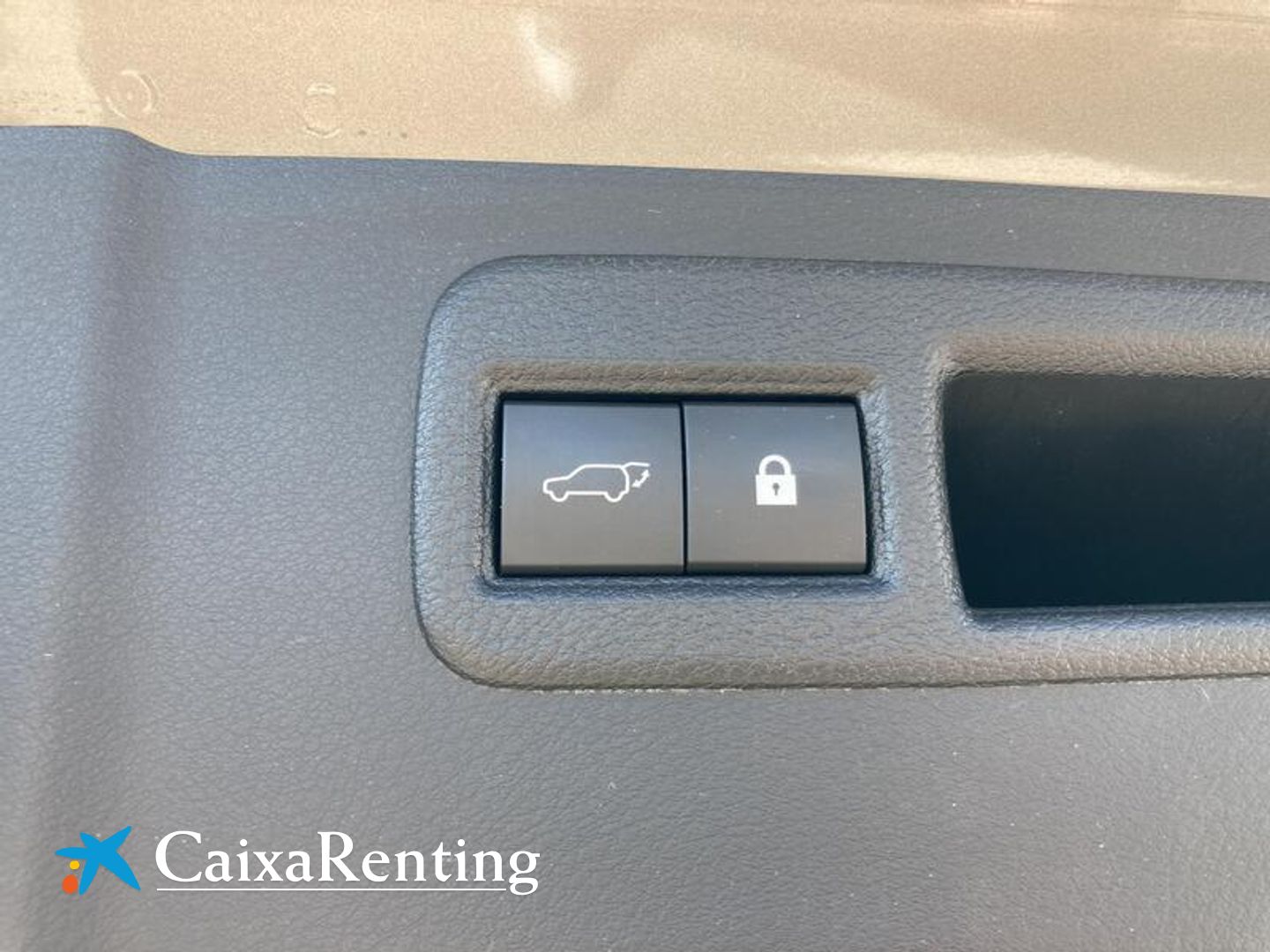 Lexus NX NX 300h Executive Navigation 4WD 145 kW (197 CV)