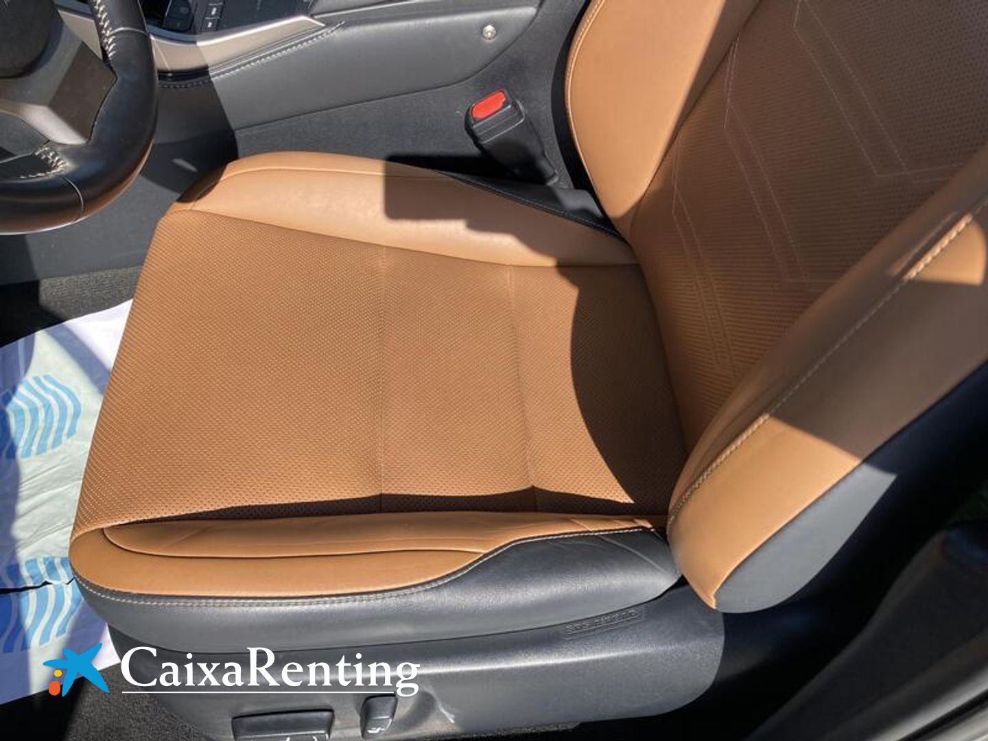 Lexus NX NX 300h Executive Navigation 4WD 145 kW (197 CV)