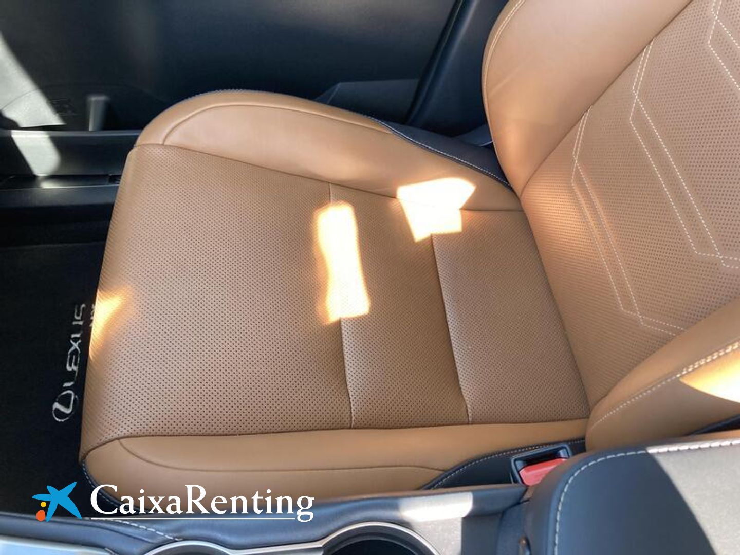 Lexus NX NX 300h Executive Navigation 4WD 145 kW (197 CV)