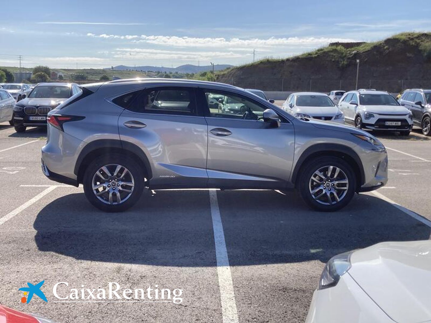 Lexus NX NX 300h Executive Navigation 4WD 145 kW (197 CV)