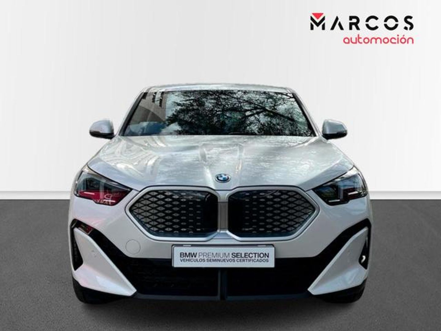 BMW iX2 xDrive30 230 kW (313 CV)