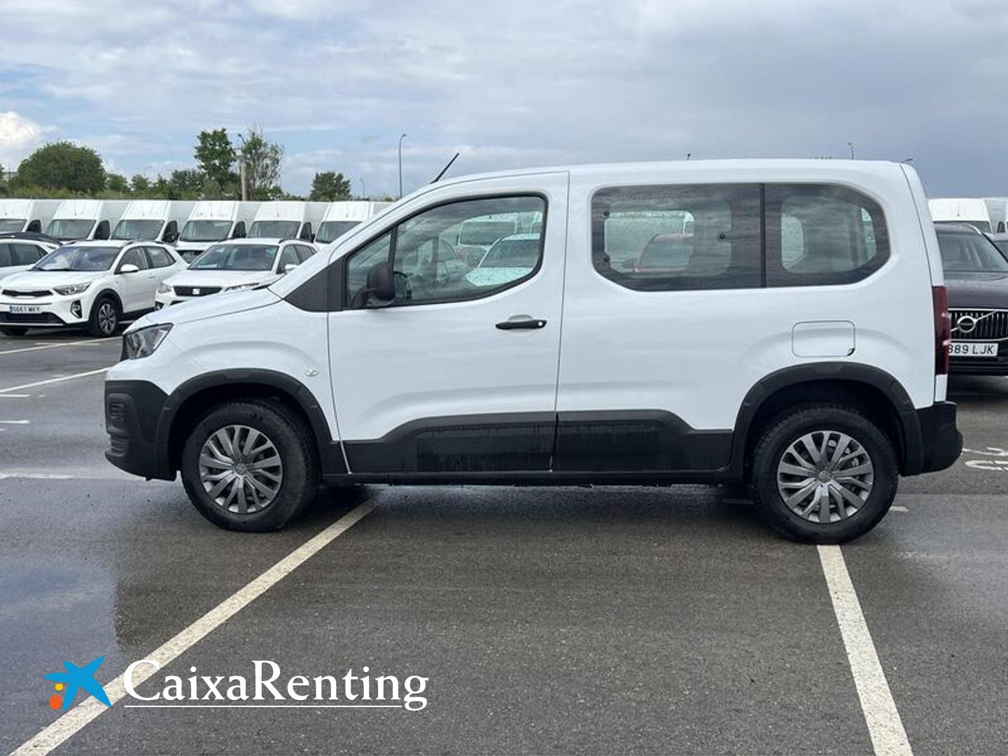 Peugeot Rifter Active Business Standard BlueHDi 73 kW (100 CV)