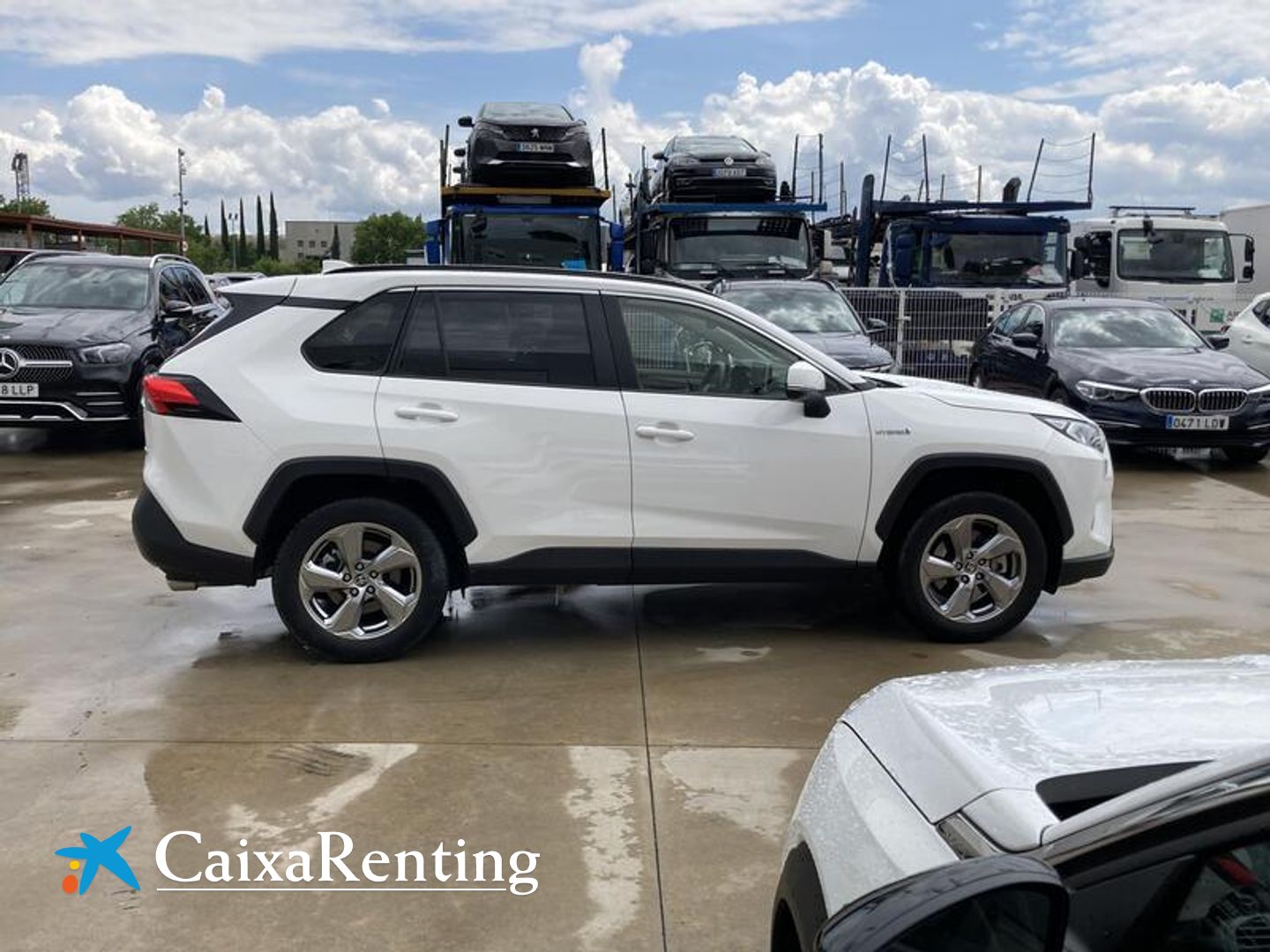 Toyota Rav4 2.5l hybrid Advance 160 kW (218 CV)