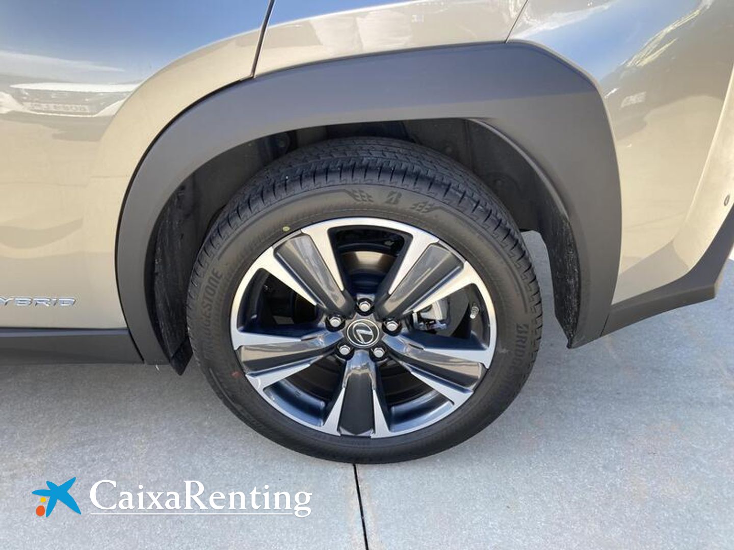 Lexus UX 250h Luxury 4WD 135 kW (184 CV)