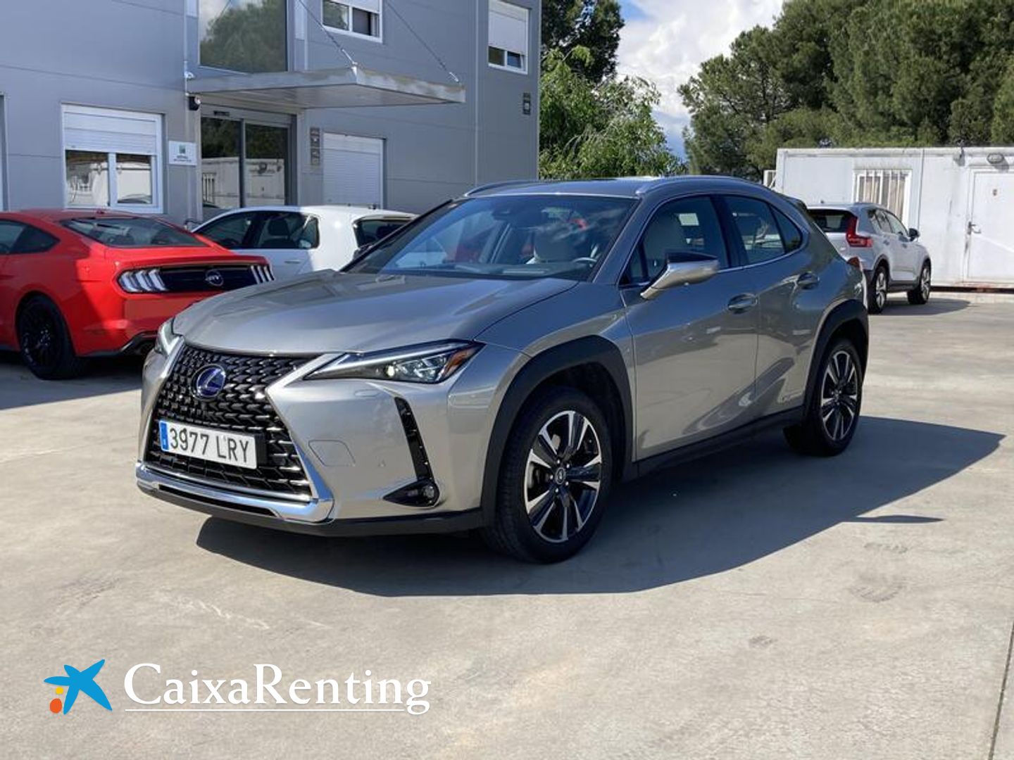 Lexus UX 250h Luxury 4WD 135 kW (184 CV) Gris SUV