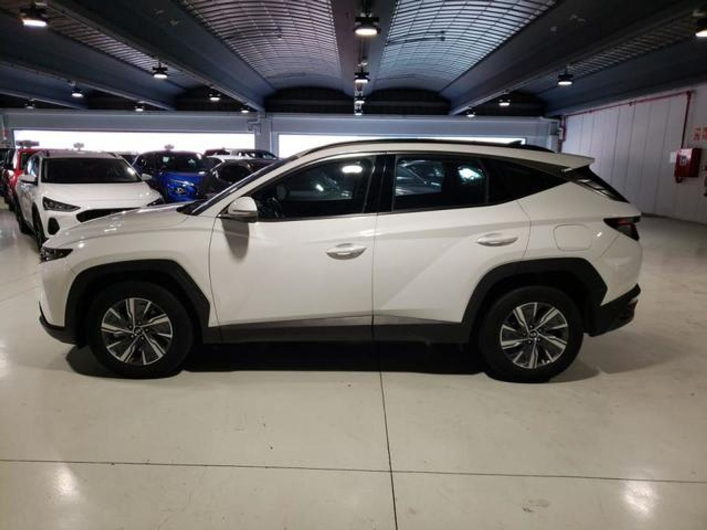 Hyundai Tucson 1.6 TGDI HEV Maxx Auto 169 kW (230 CV)