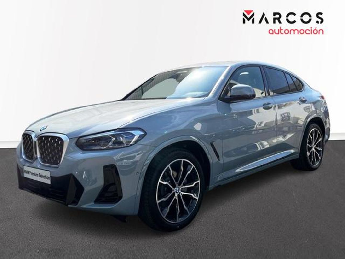 BMW X4 xDrive20d xLine 140 kW (190 CV) Gris SUV