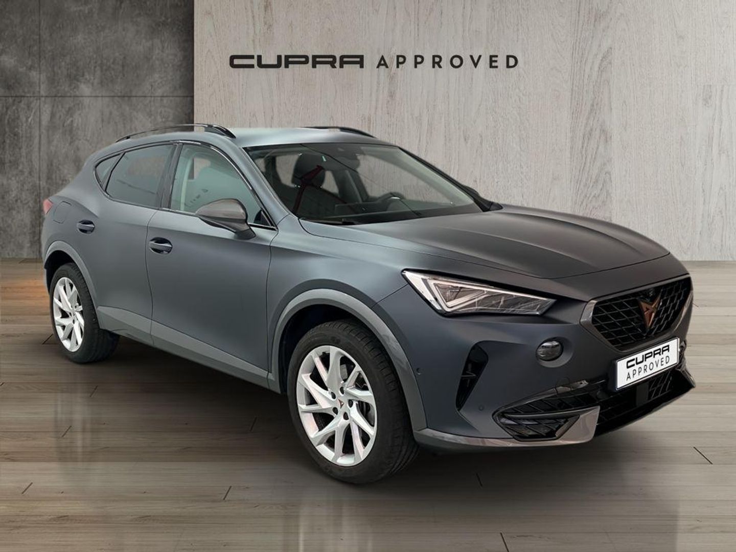 CUPRA Formentor 2.0 TDI 4Drive DSG 110 kW (150 CV) Gris SUV