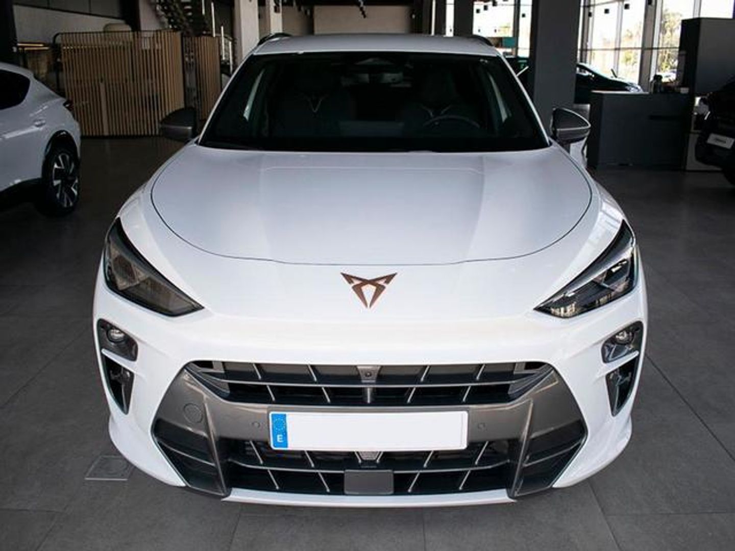 CUPRA Terramar 1.5 eTSI DSG 110 kW (150 CV)