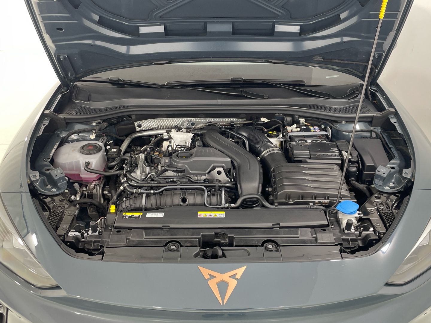 CUPRA León 1.5 eTSI DSG 110 kW (150 CV)
