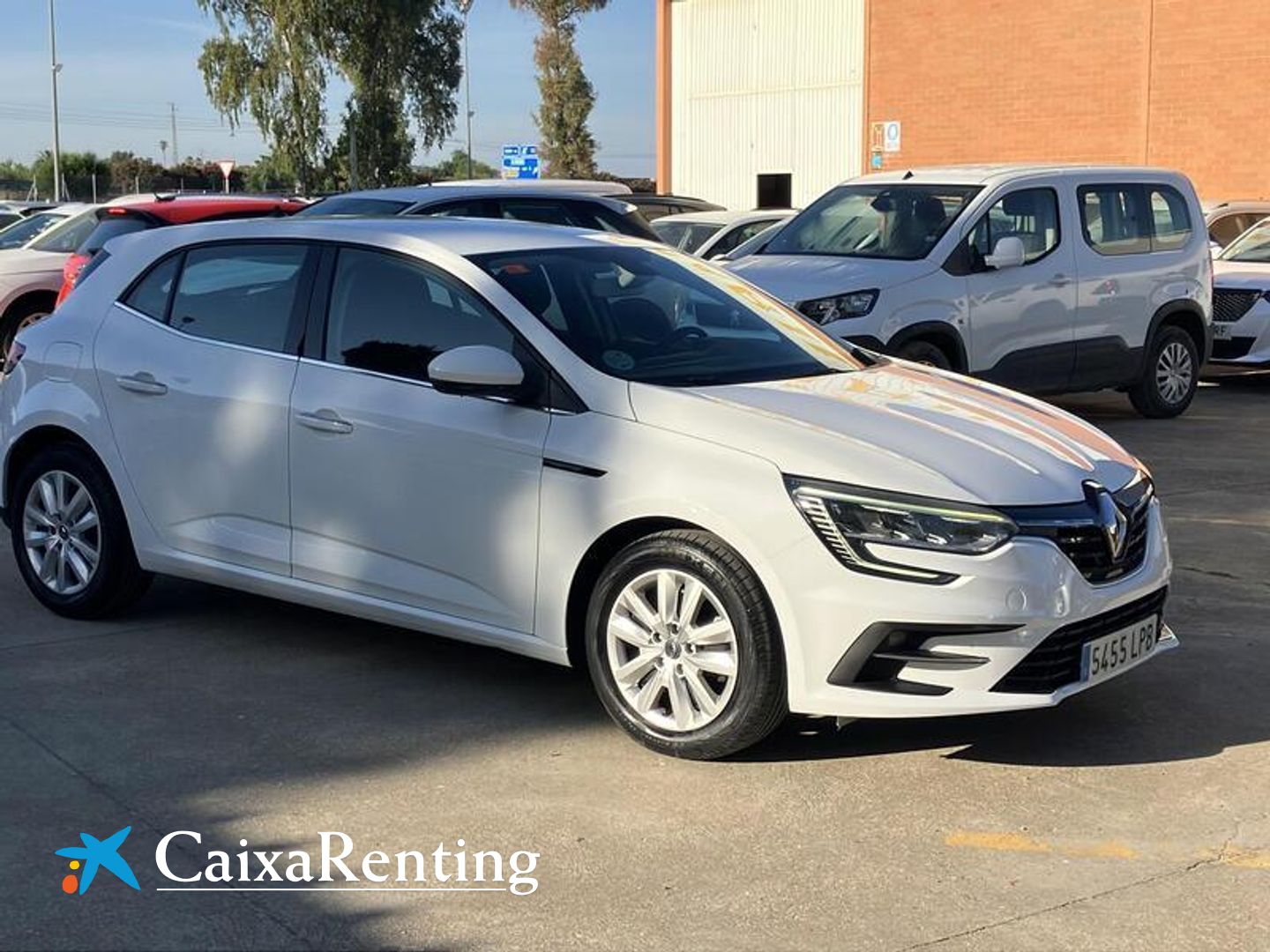 Renault Megane Business Blue dCi 85 kW (115 CV)