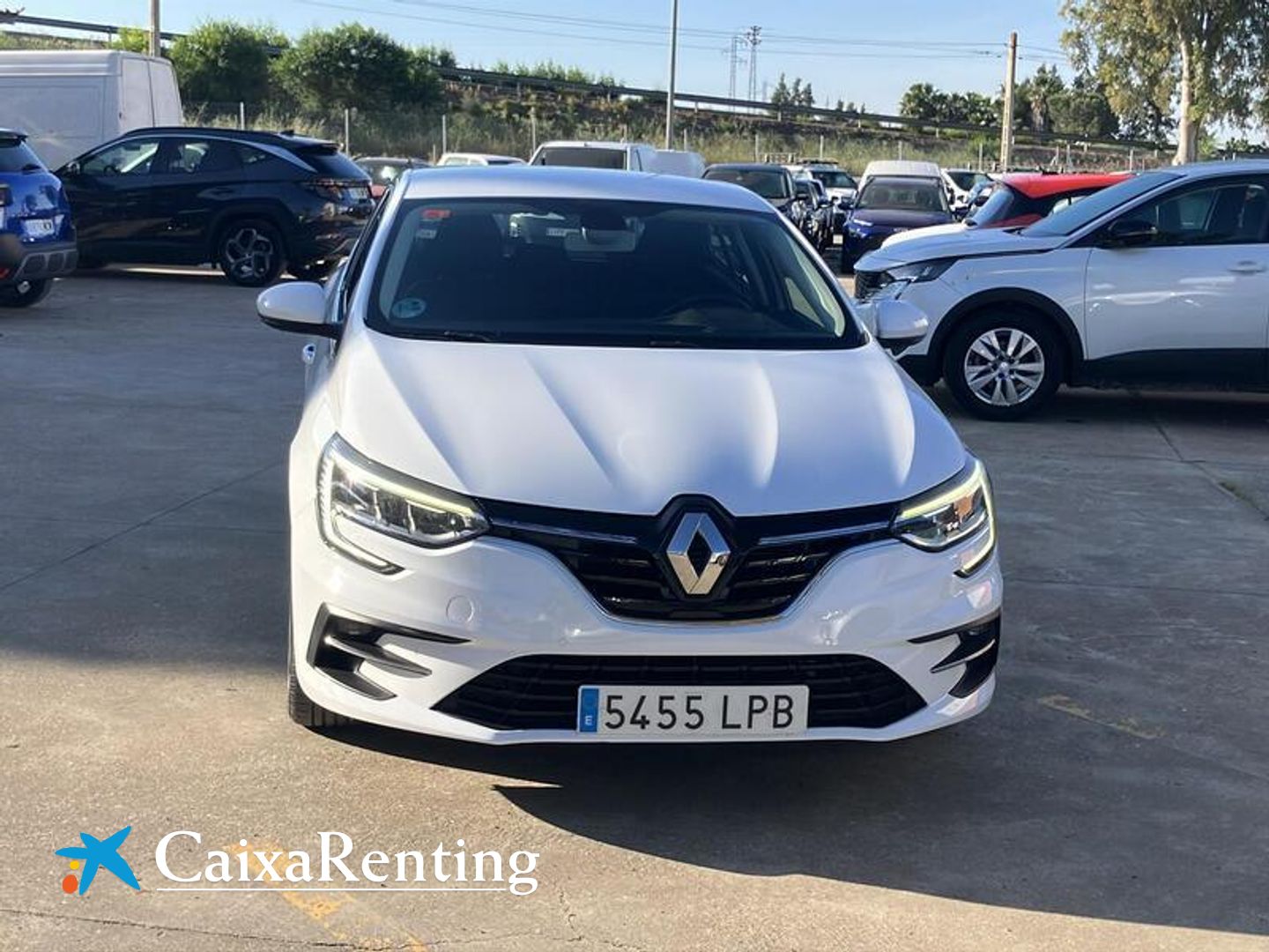 Renault Megane Business Blue dCi 85 kW (115 CV)