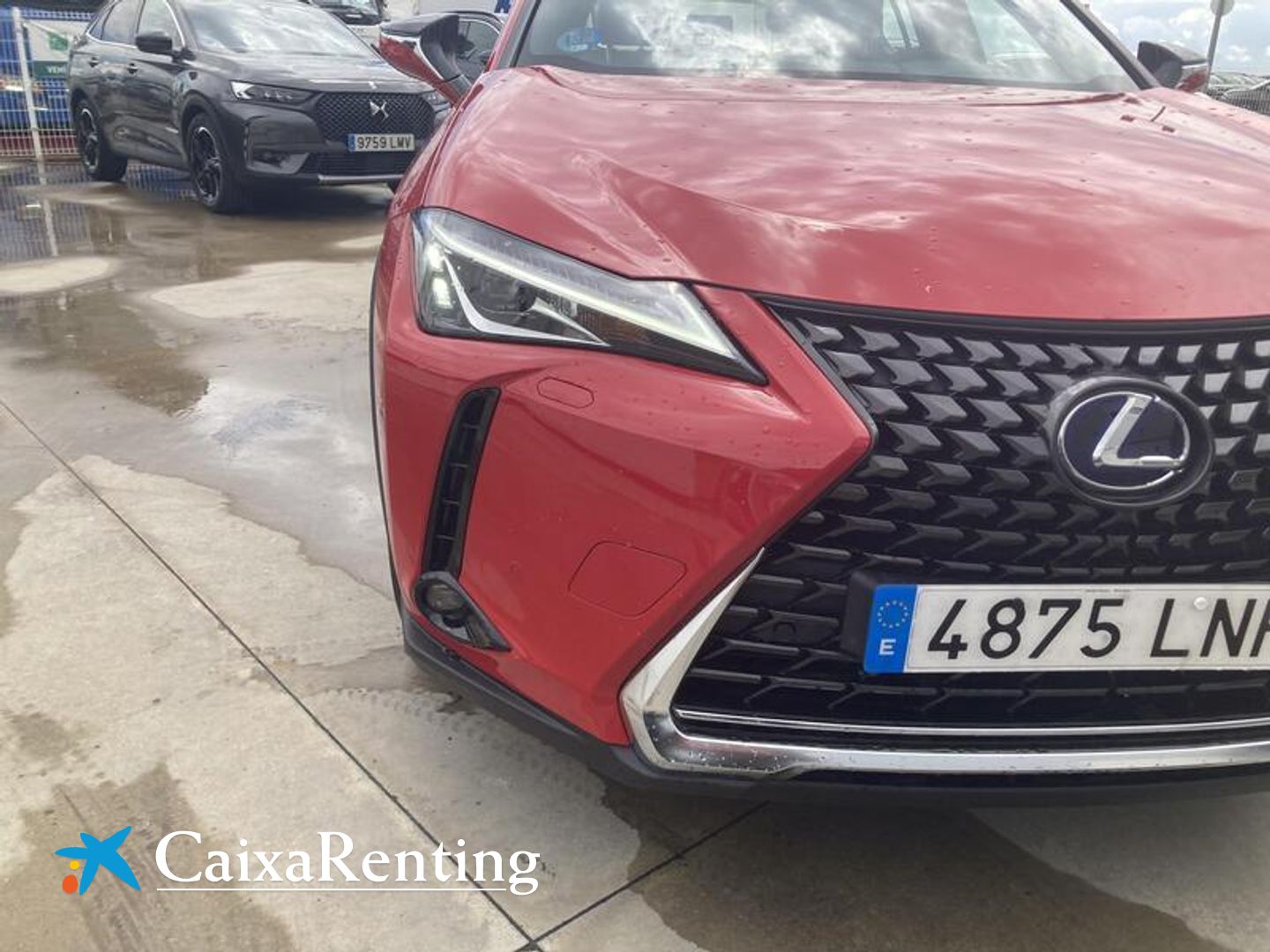 Lexus UX UX 250h Luxury 135 kW (184 CV)