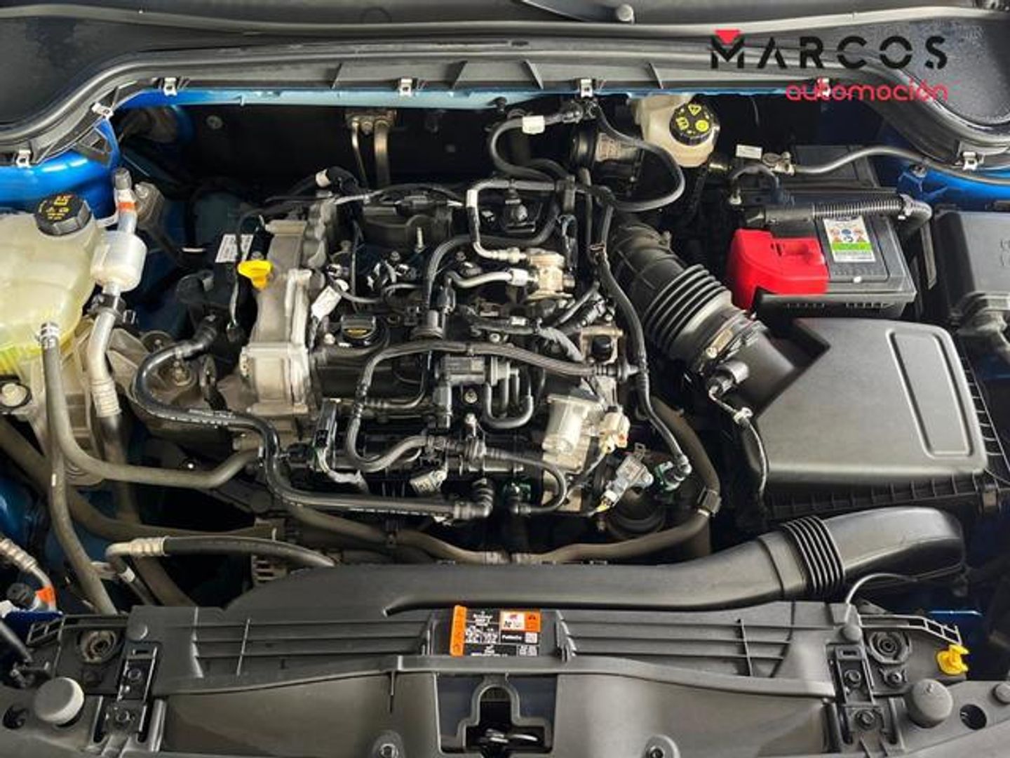 Ford Focus 1.0 Ecoboost MHEV ST-Line X 92 kW (125 CV)