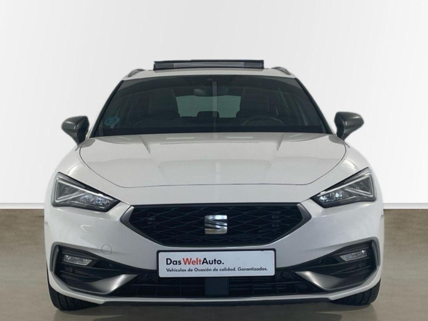 SEAT Leon ST 2.0 TDI S&S FR Go XL DSG 110 kW (150 CV)