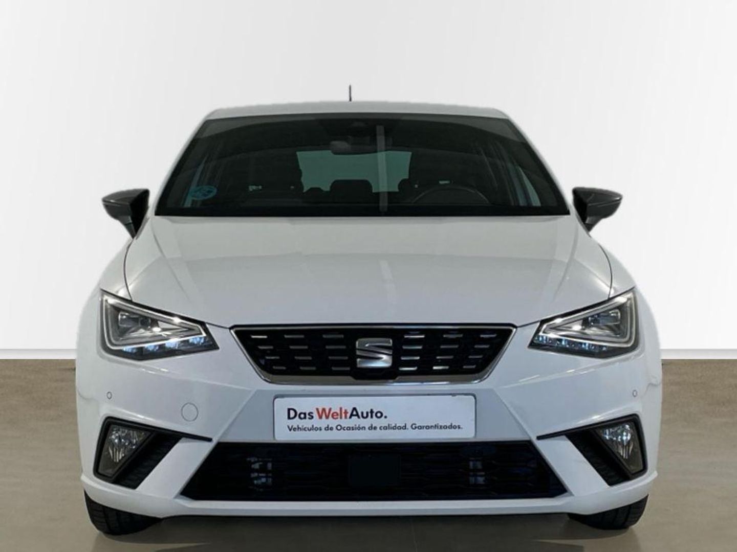 SEAT Ibiza 1.0 TSI Special Edition 85 kW (115 CV)