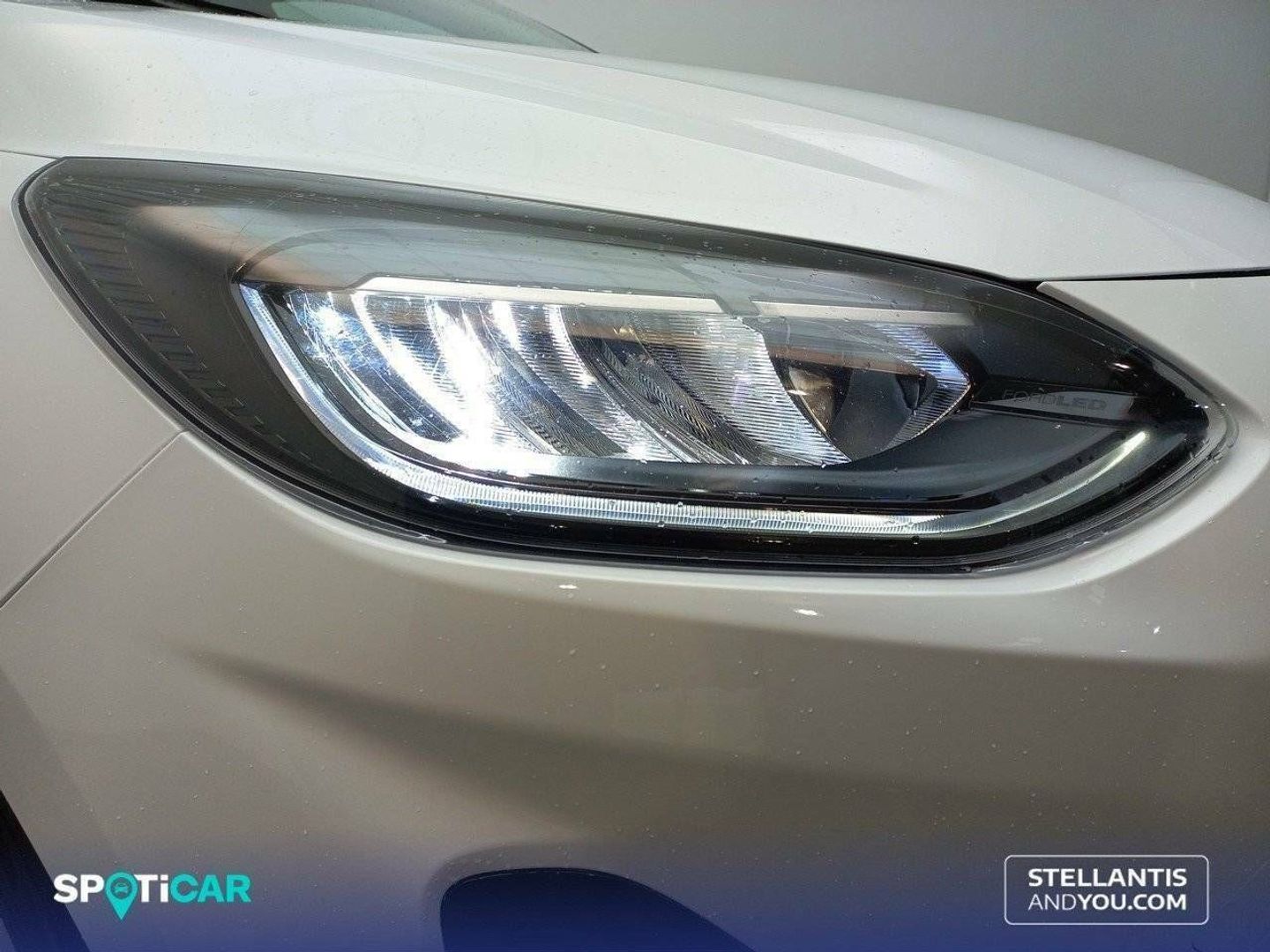 Ford Fiesta 1.1 Ti-VCT GLP Trend 55 kW (75 CV)