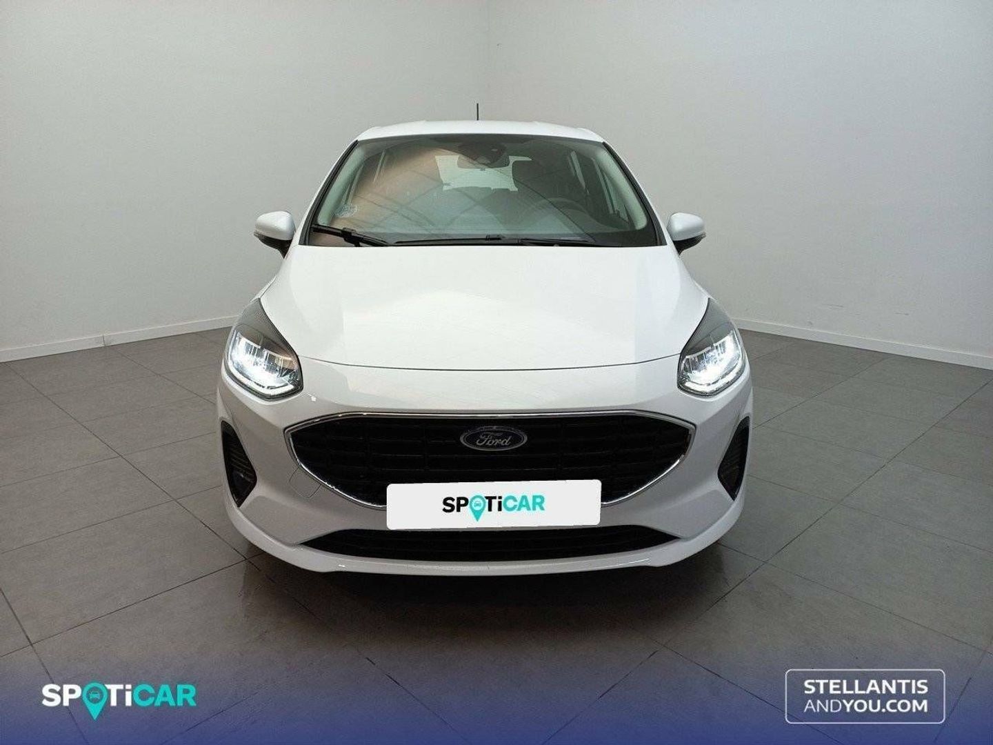 Ford Fiesta 1.0 EcoBoost Trend 74 kW (100 CV)