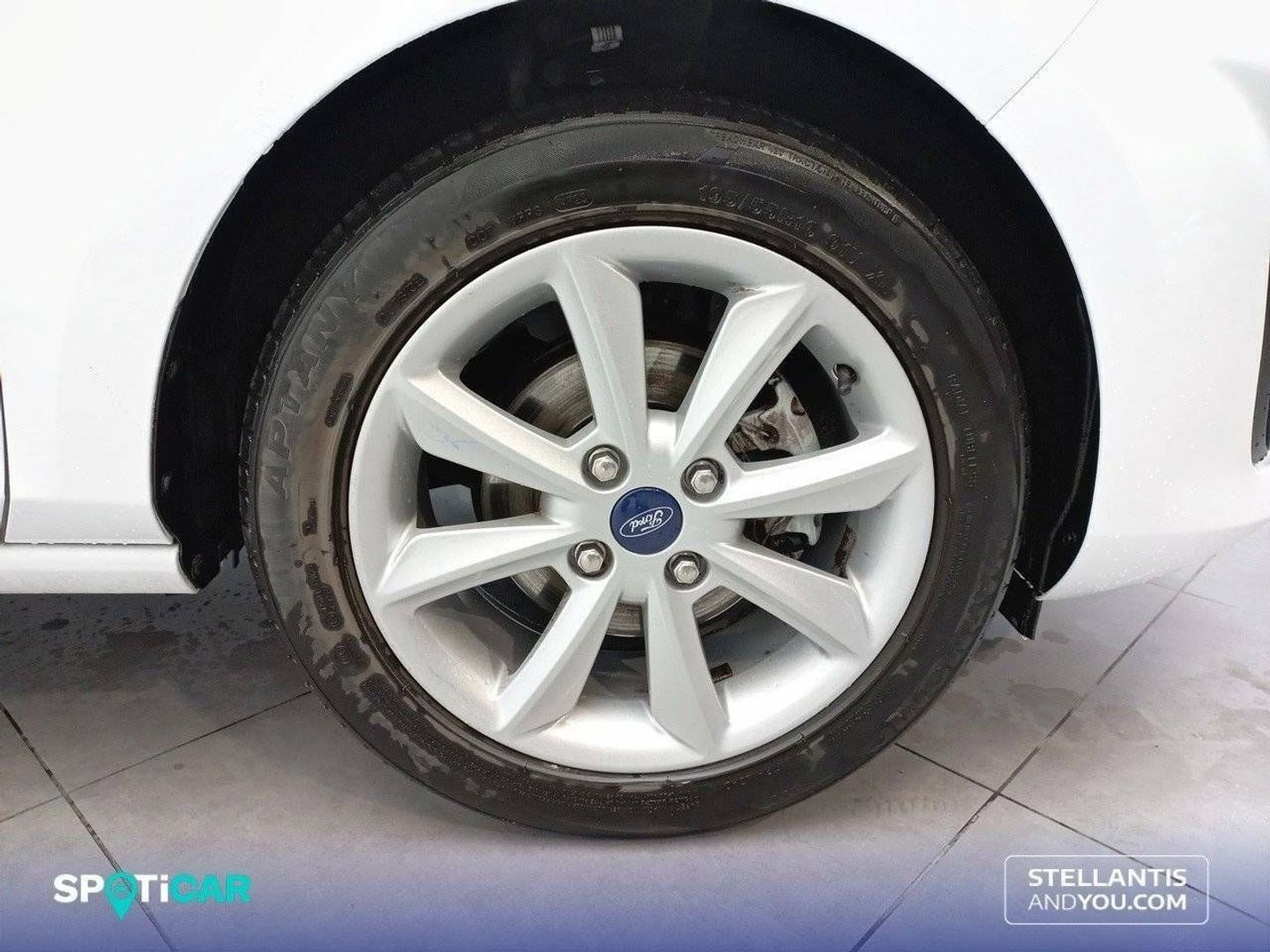 Ford Fiesta 1.0 EcoBoost Trend 74 kW (100 CV)
