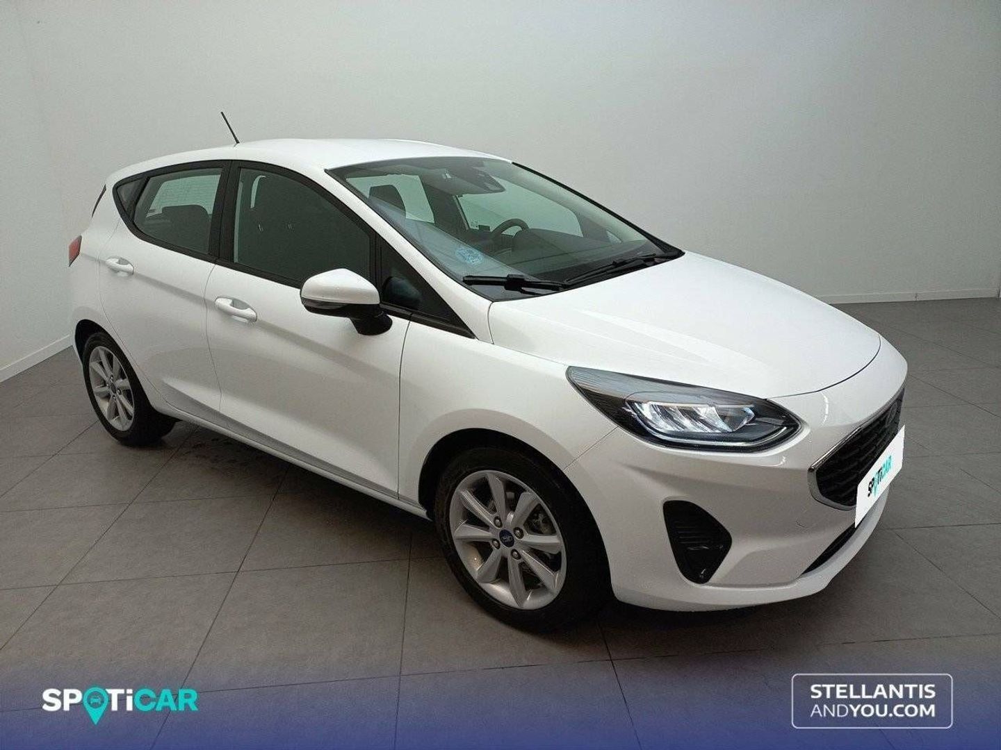 Ford Fiesta 1.0 EcoBoost Trend 74 kW (100 CV)
