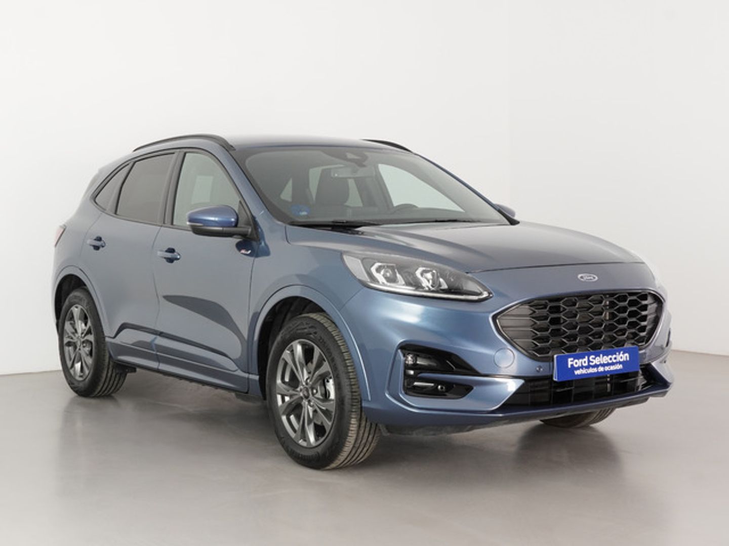 Ford Kuga 1.5 EcoBlue ST-Line 88 kW (120 CV)