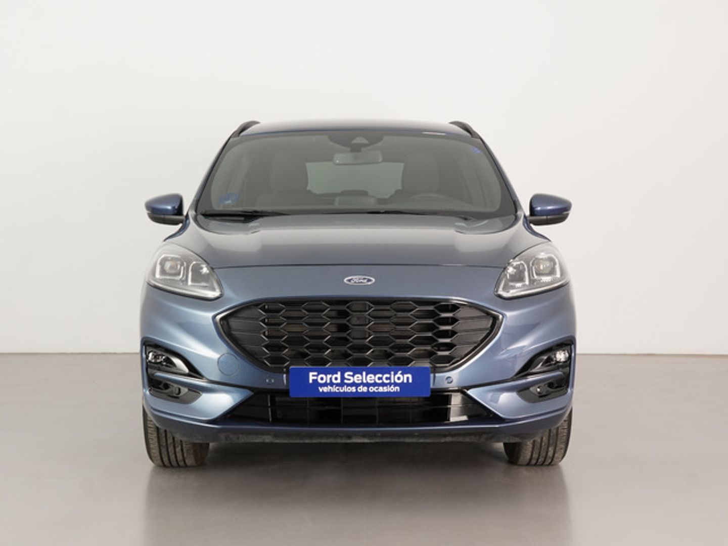 Ford Kuga 1.5 EcoBlue ST-Line 88 kW (120 CV)