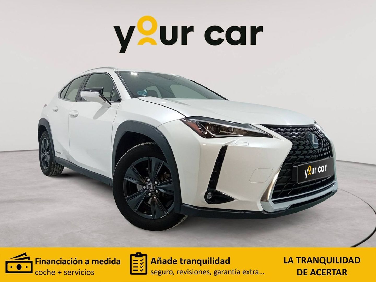 Lexus UX UX 250h Business 2WD 135 kW (184 CV)