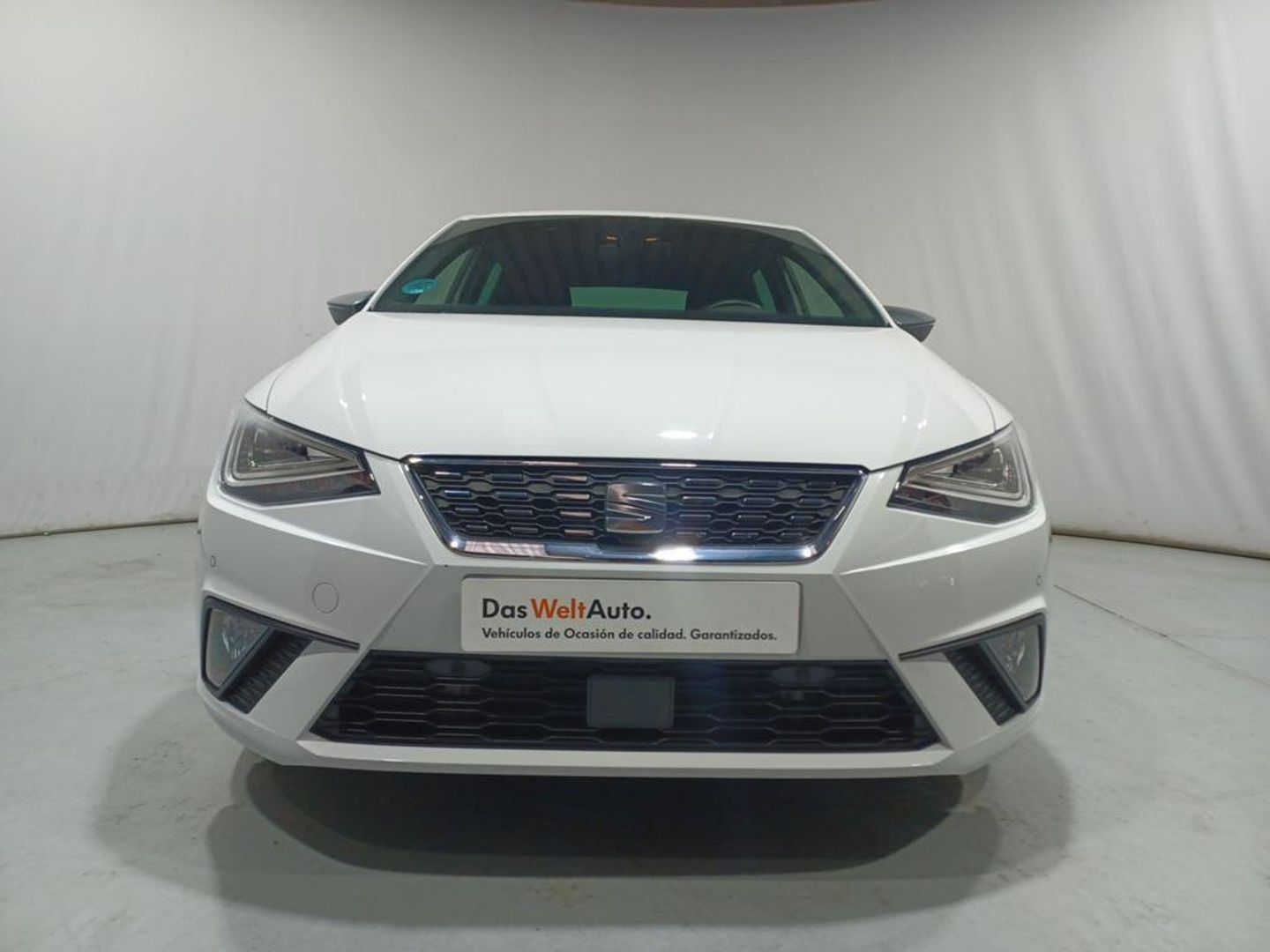 SEAT Ibiza 1.0 TSI Special Edition 85 kW (115 CV)