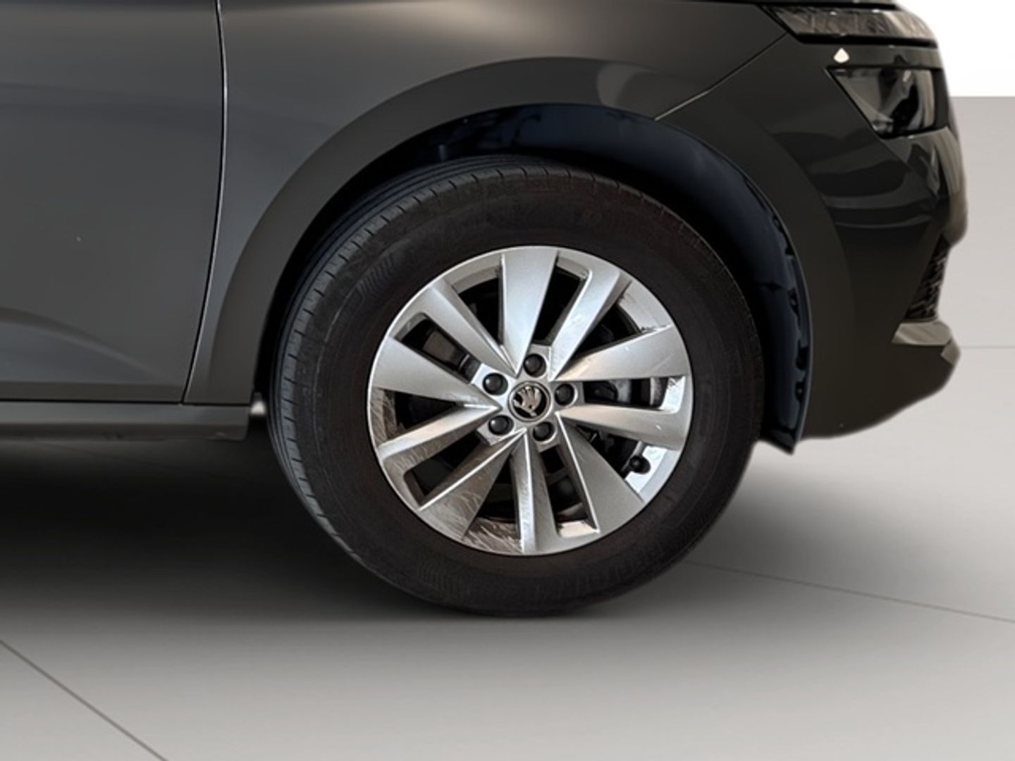 Skoda Kamiq 1.0 TSI Ambition DSG 81 kW (110 CV)