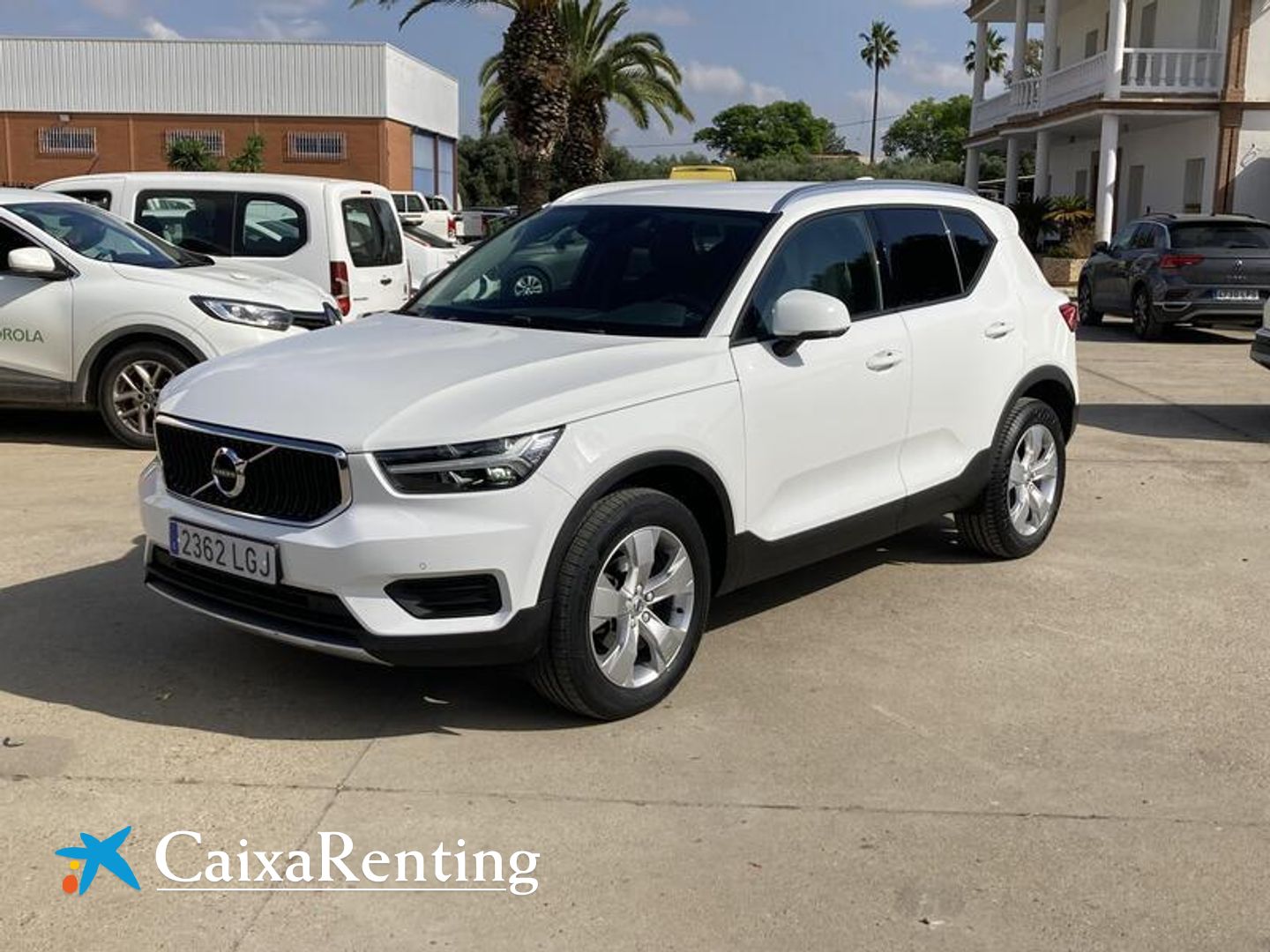 Volvo XC40 T3 Business Plus Auto 120 kW (163 CV) Blanco SUV
