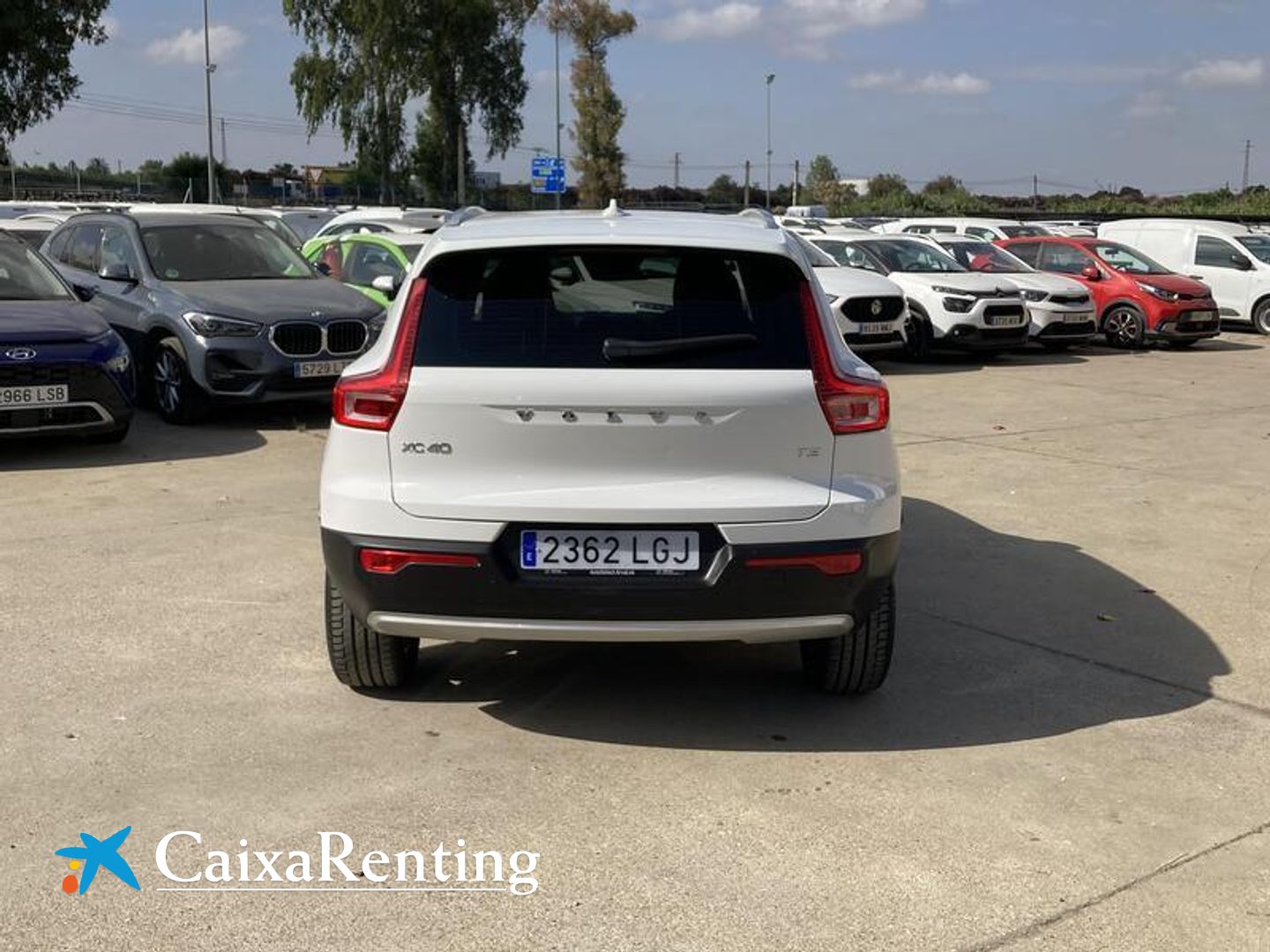 Volvo XC40 T3 Business Plus Auto 120 kW (163 CV)