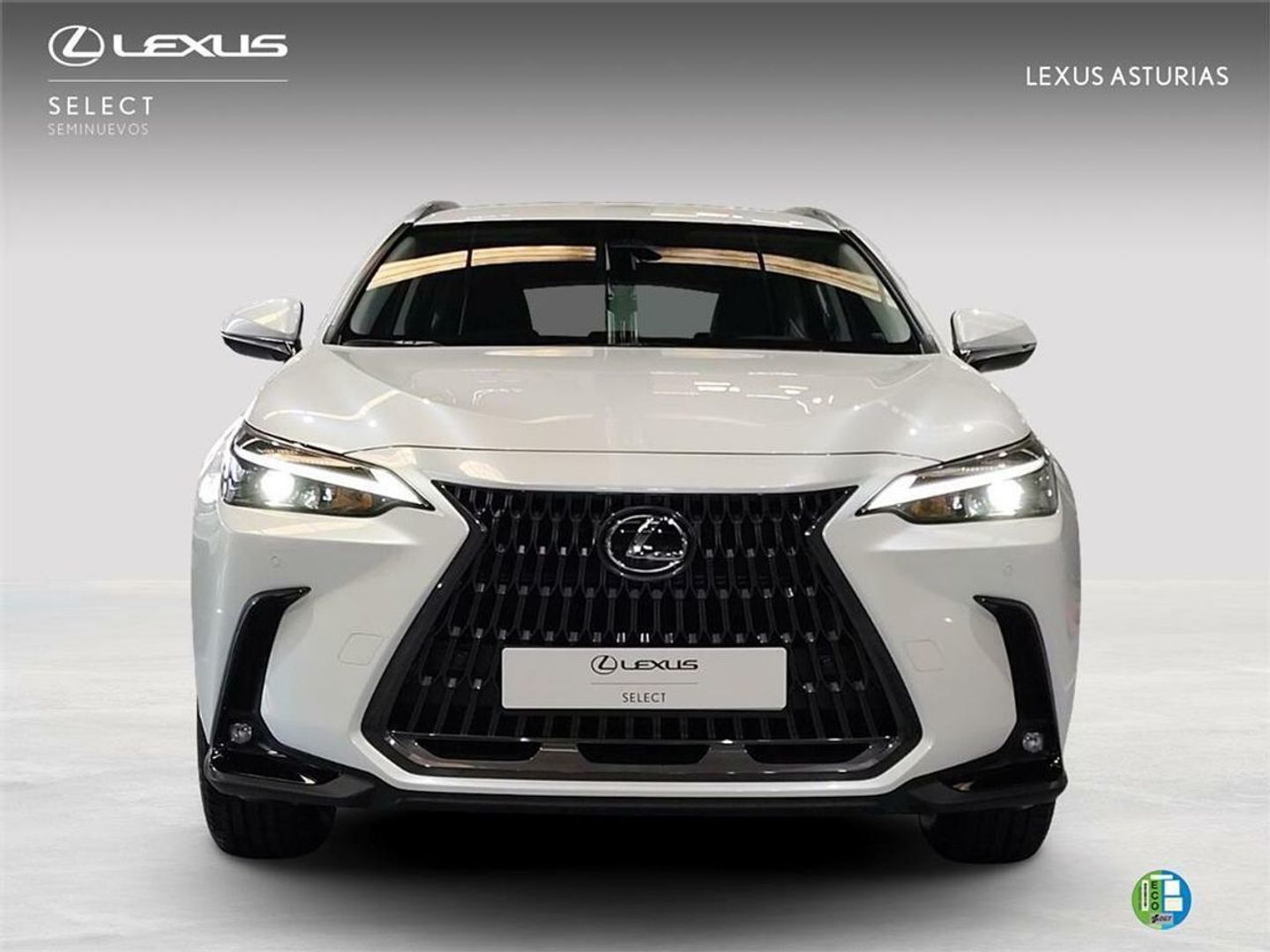 Lexus NX 350h Premium+ 2WD 178 kW (242 CV) Blanco All Terrain / Pick-up