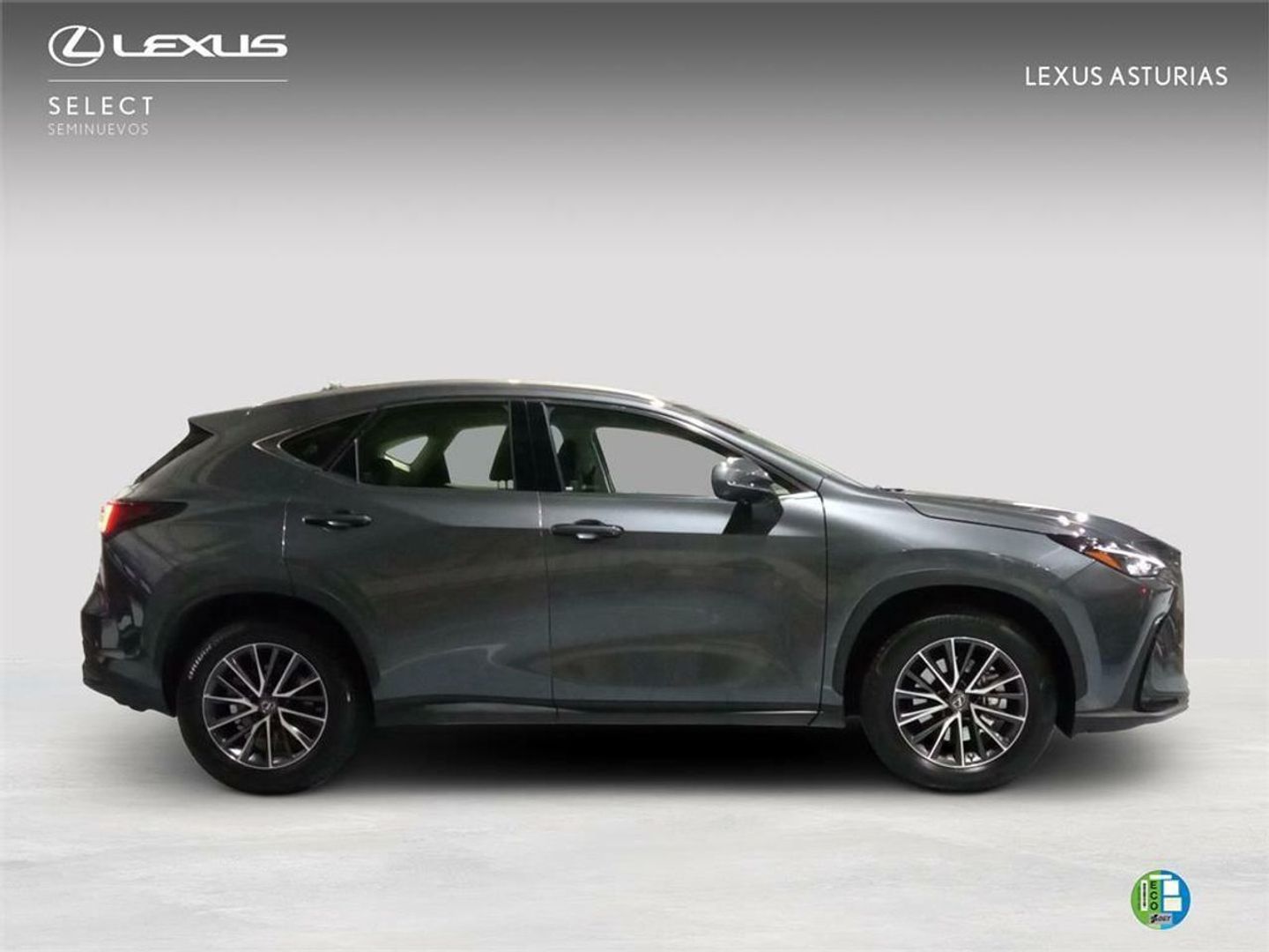Lexus NX NX 350h Business City 2WD 178 kW (242 CV)