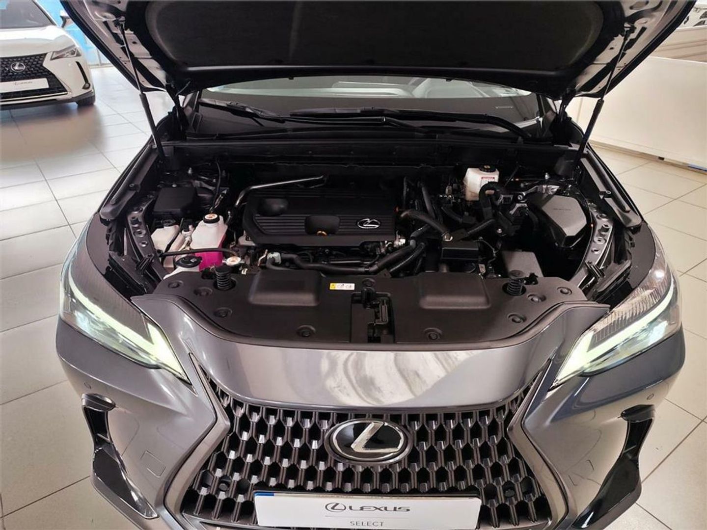 Lexus NX NX 350h Business City 2WD 178 kW (242 CV)