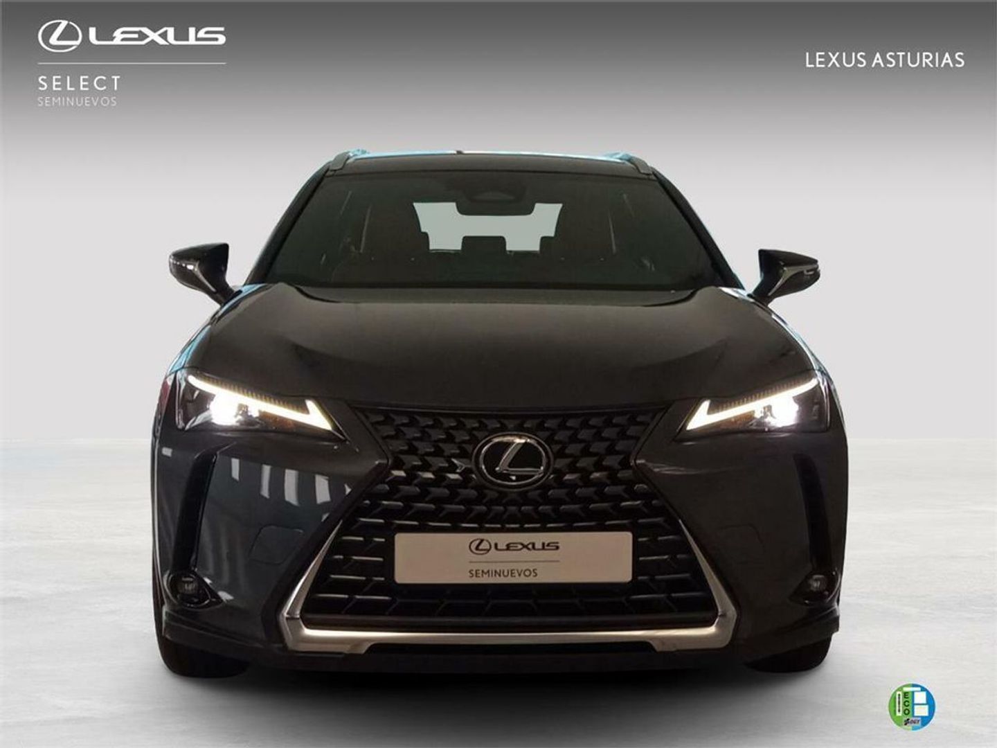 Lexus UX UX 300h Plus 146 kW (199 CV)